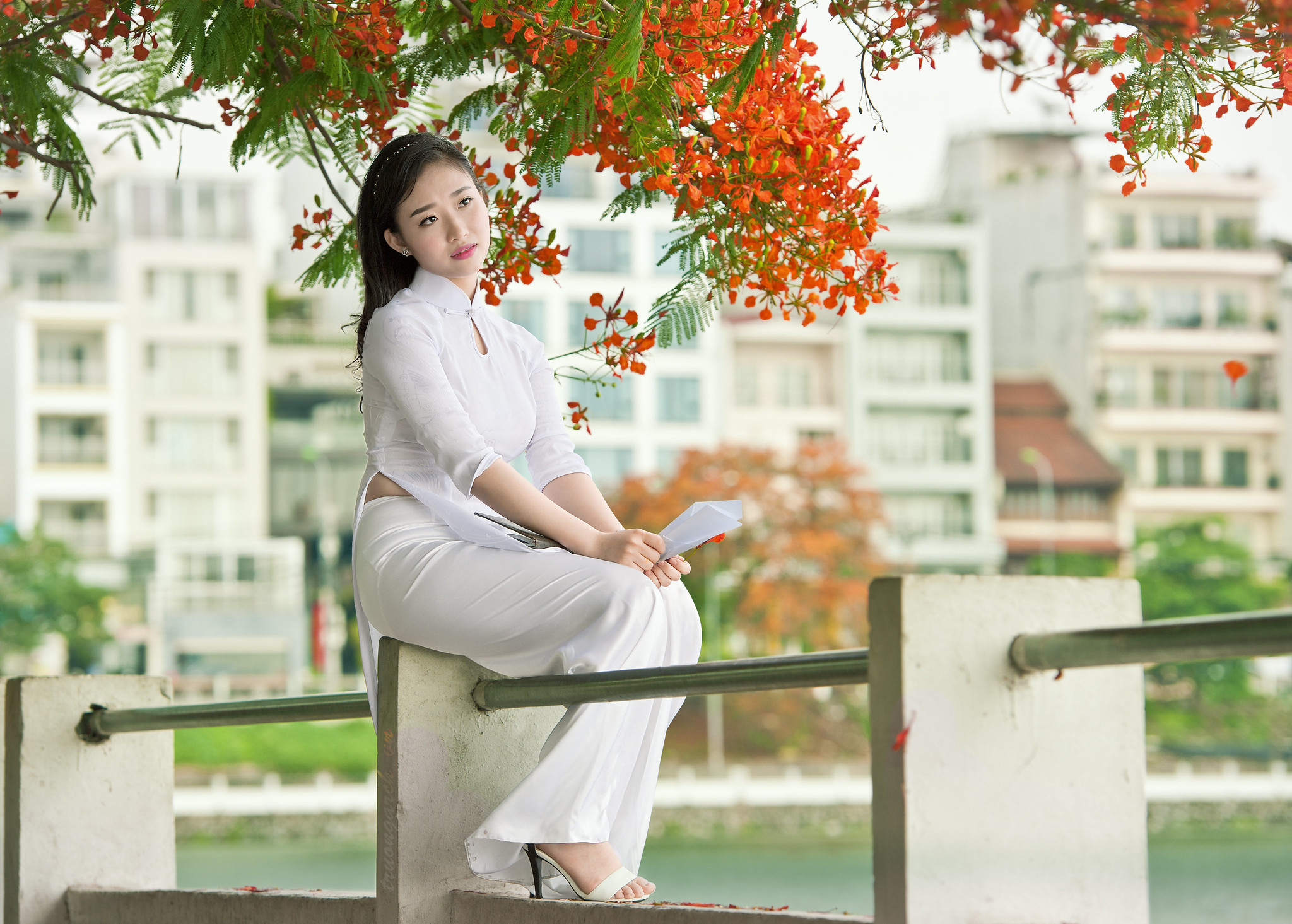 Vẻ đẹp Việt Nam áo dài trắng hoa phượng [HQOSLU]