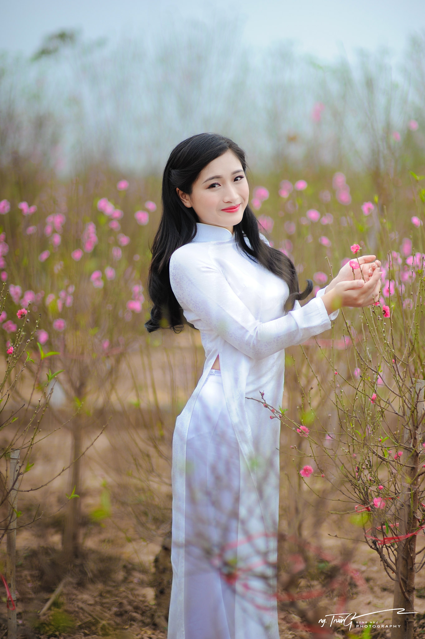 Áo dài trắng hoa đào mong manh [Z9FJHH]