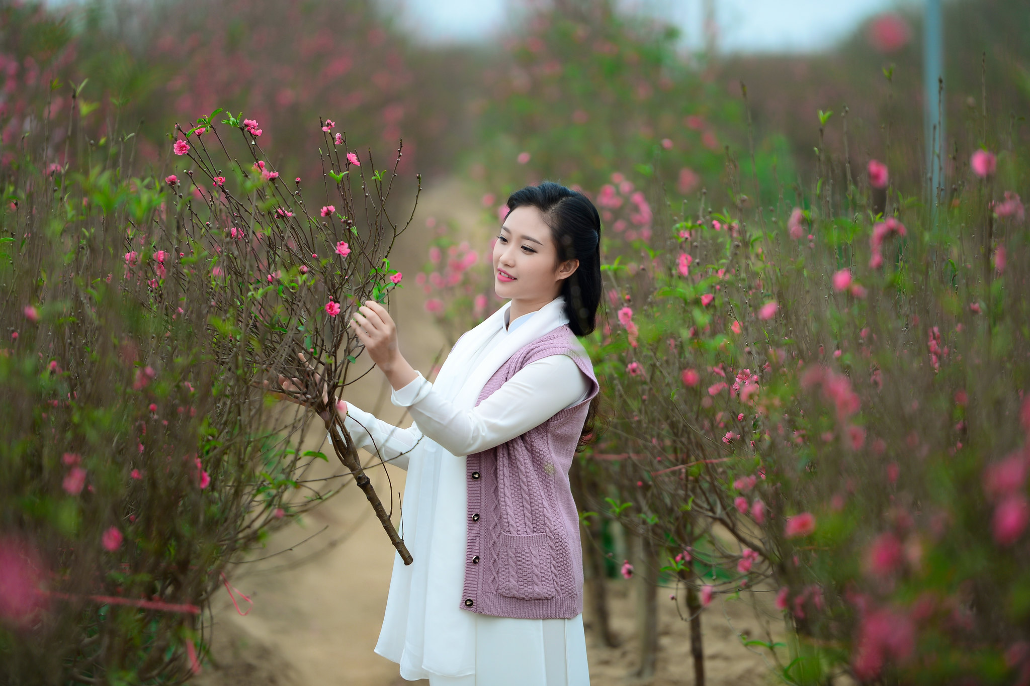 Cuốn hút áo dài trắng hoa đào [DAWKTC]