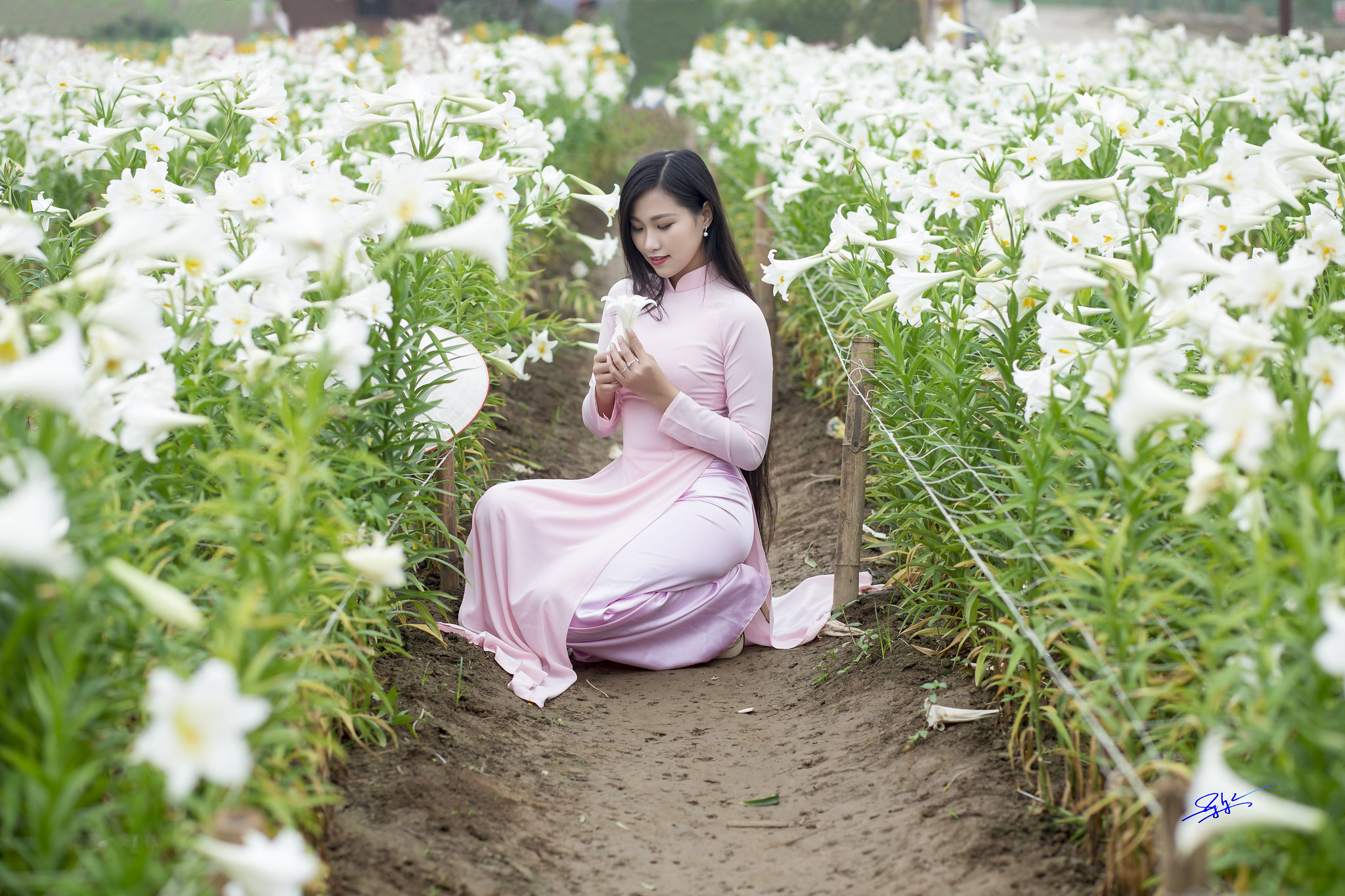 Áo dài hồng nền nã [TLUWNL]