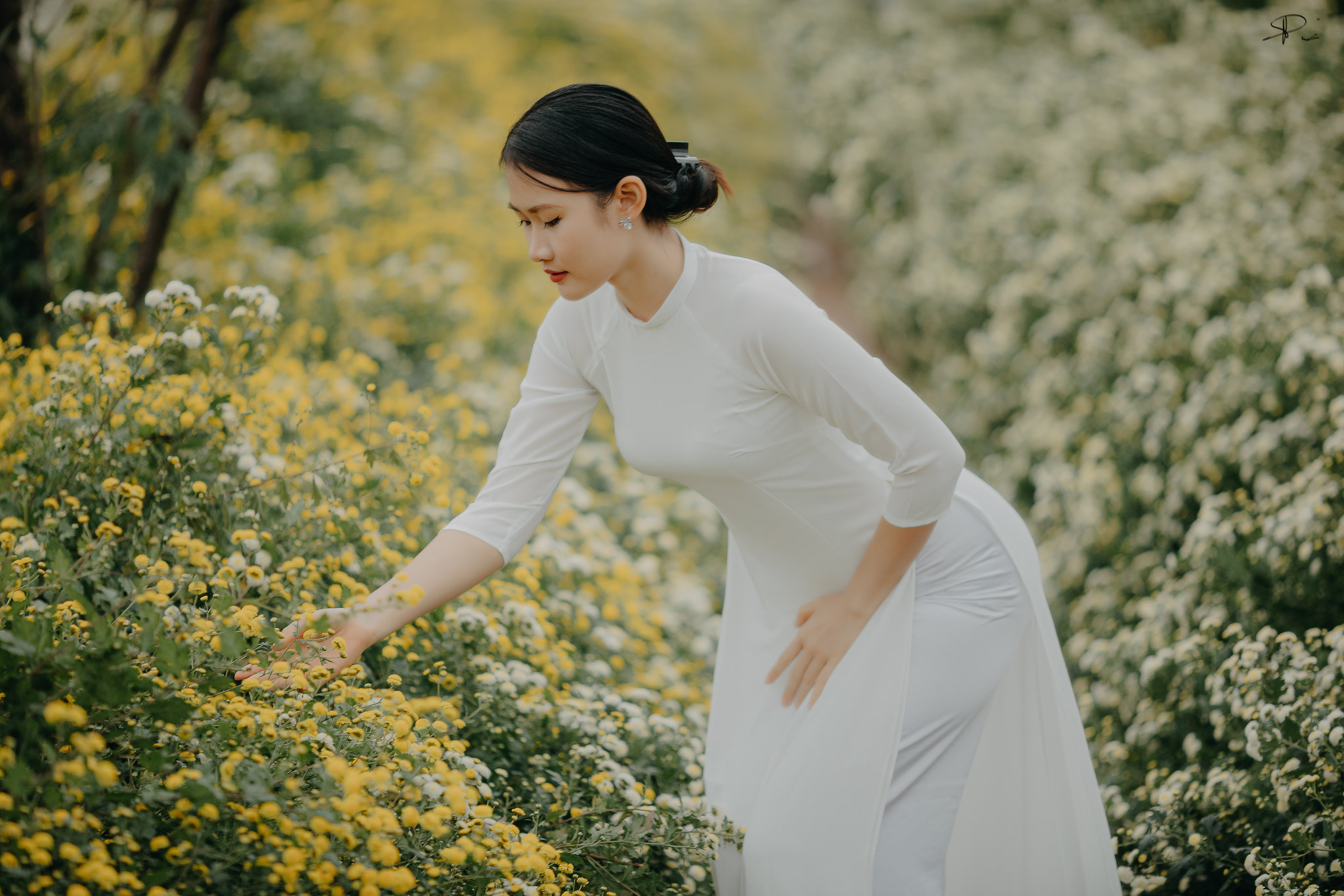 Áo dài trắng áo dài trắng nét Việt [OMLUWM]
