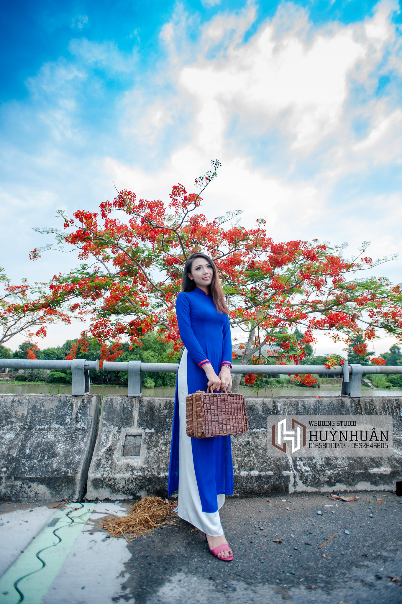 Áo dài trắng album hoa phượng truyền thống [WJW4FP]