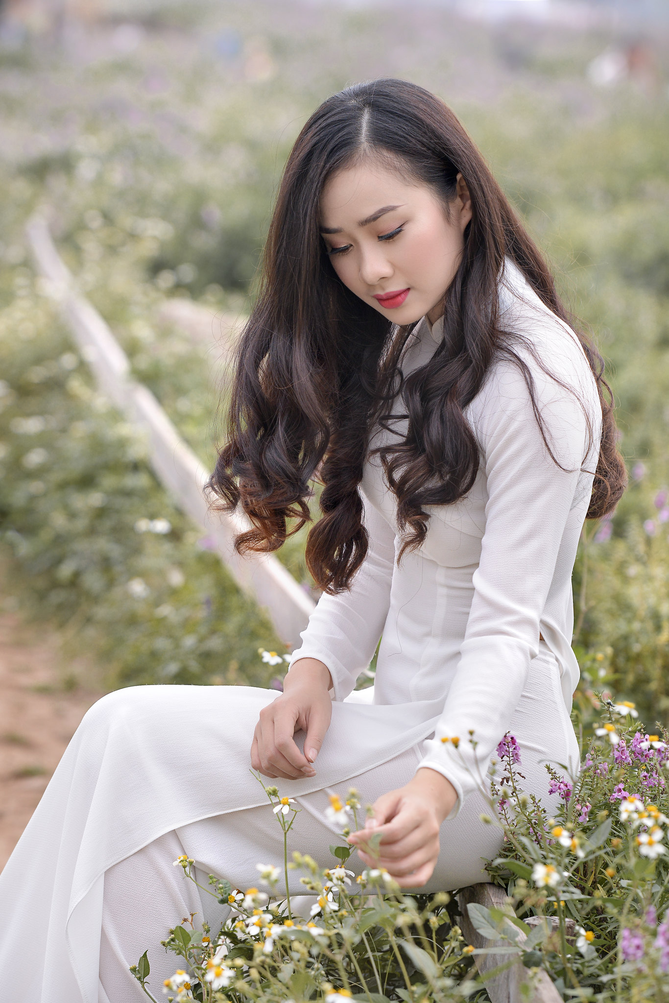 Áo dài trắng vẻ đẹp áo dài trắng rạng rỡ [YOLGLC]