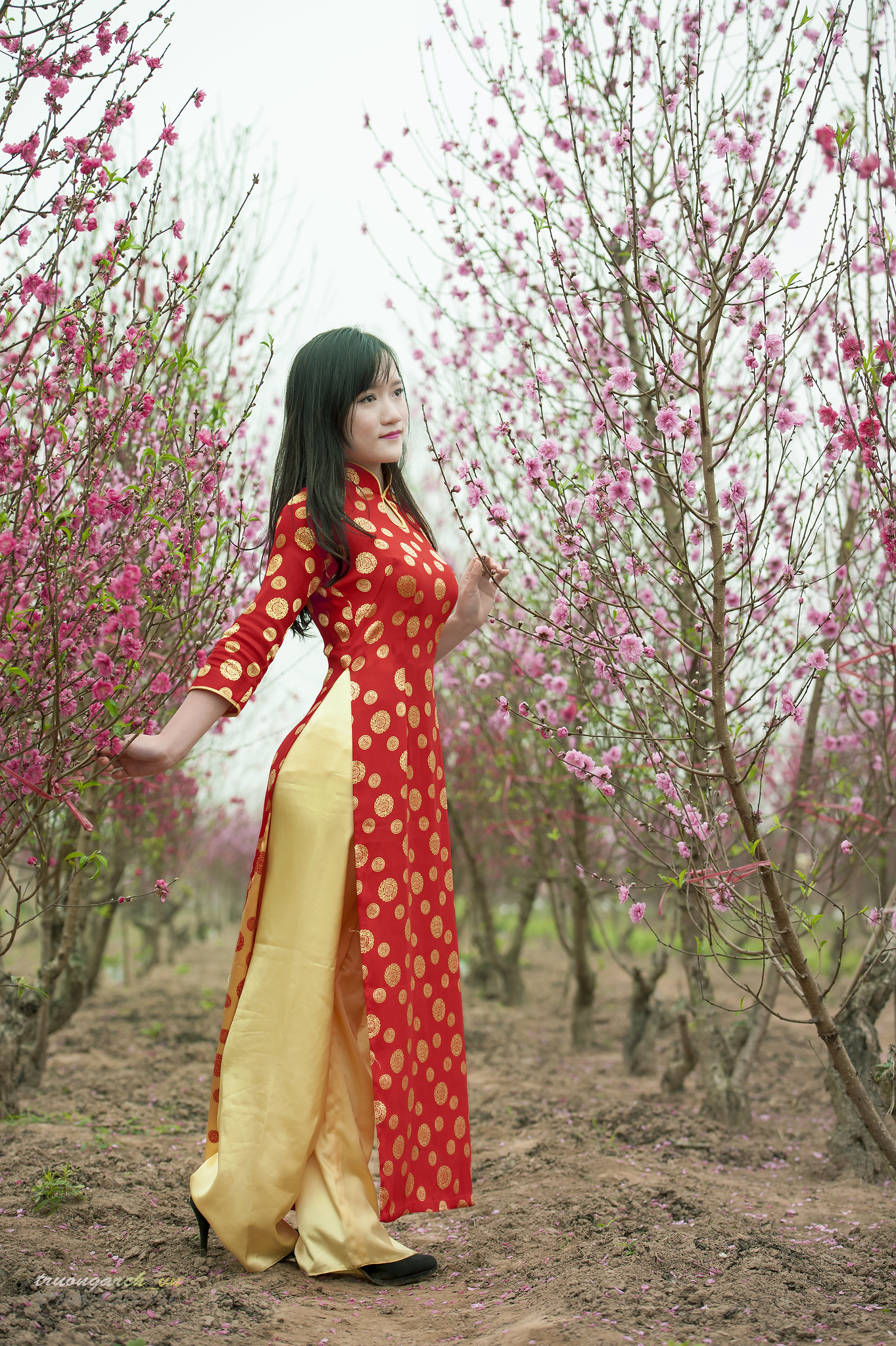 Áo dài đỏ sang trọng [7QTU2Y]