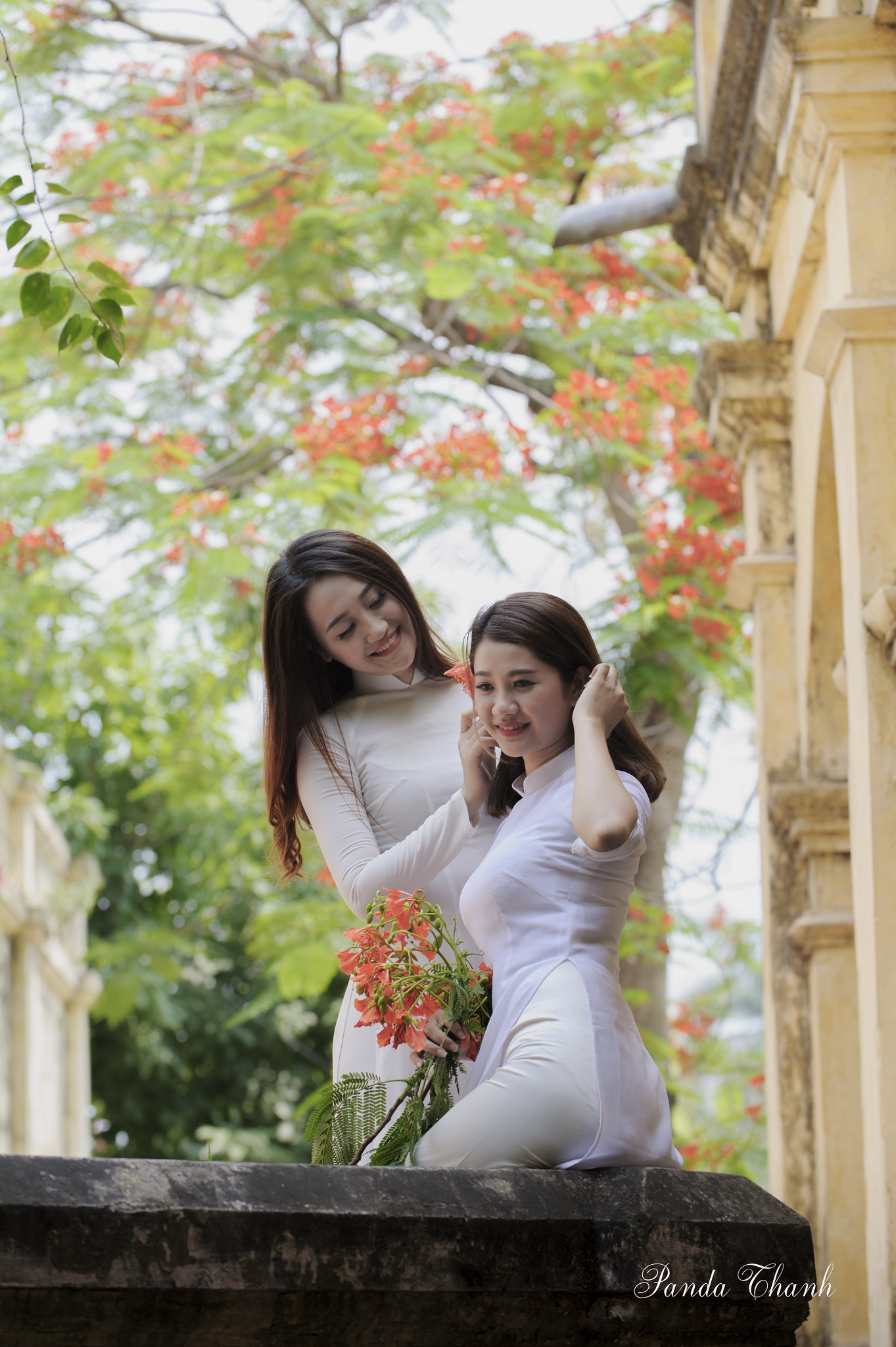 Đằm thắm áo dài trắng hoa phượng [ZSUYWH]