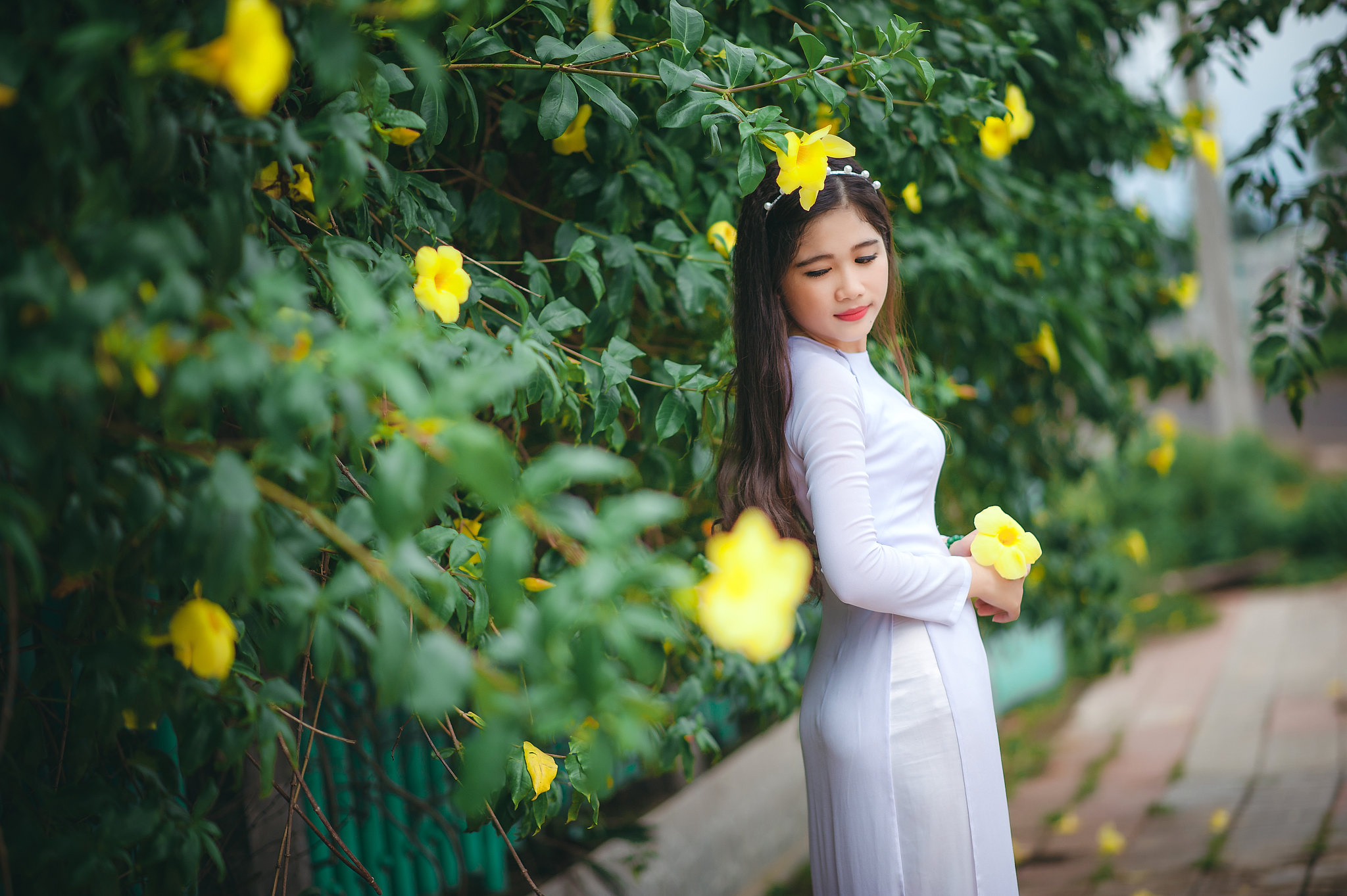 Nét đẹp áo dài áo dài trắng thuần Việt góc ngang [NZCTR1]