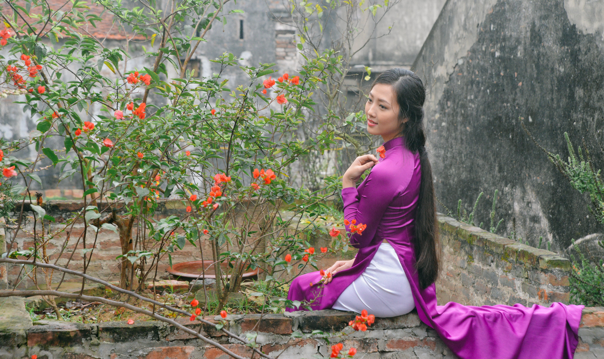 Áo dài tím hoa ấn tượng [ZWLE9S]