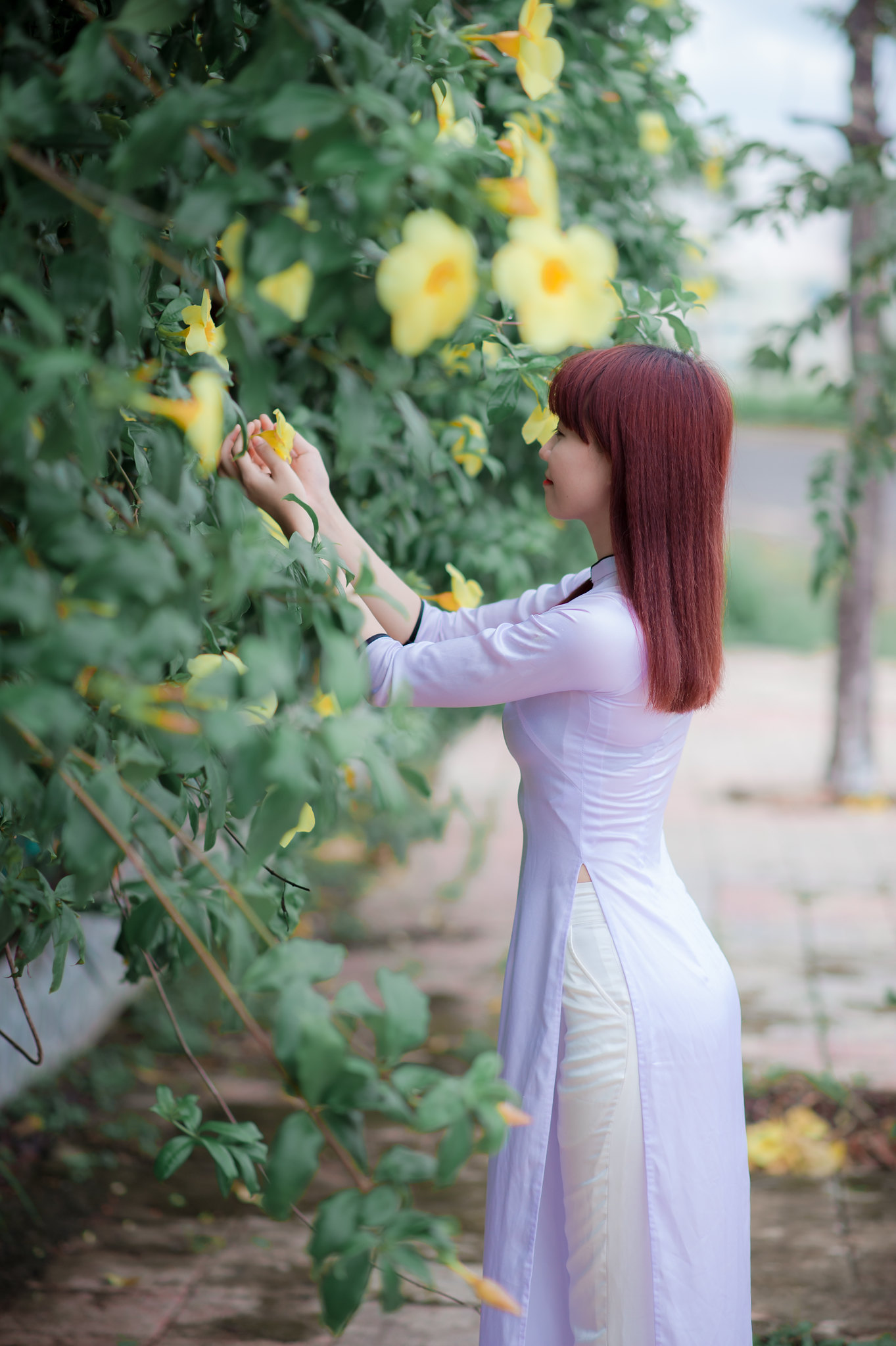 Áo dài trắng hoa thanh tao [EAX5XP]