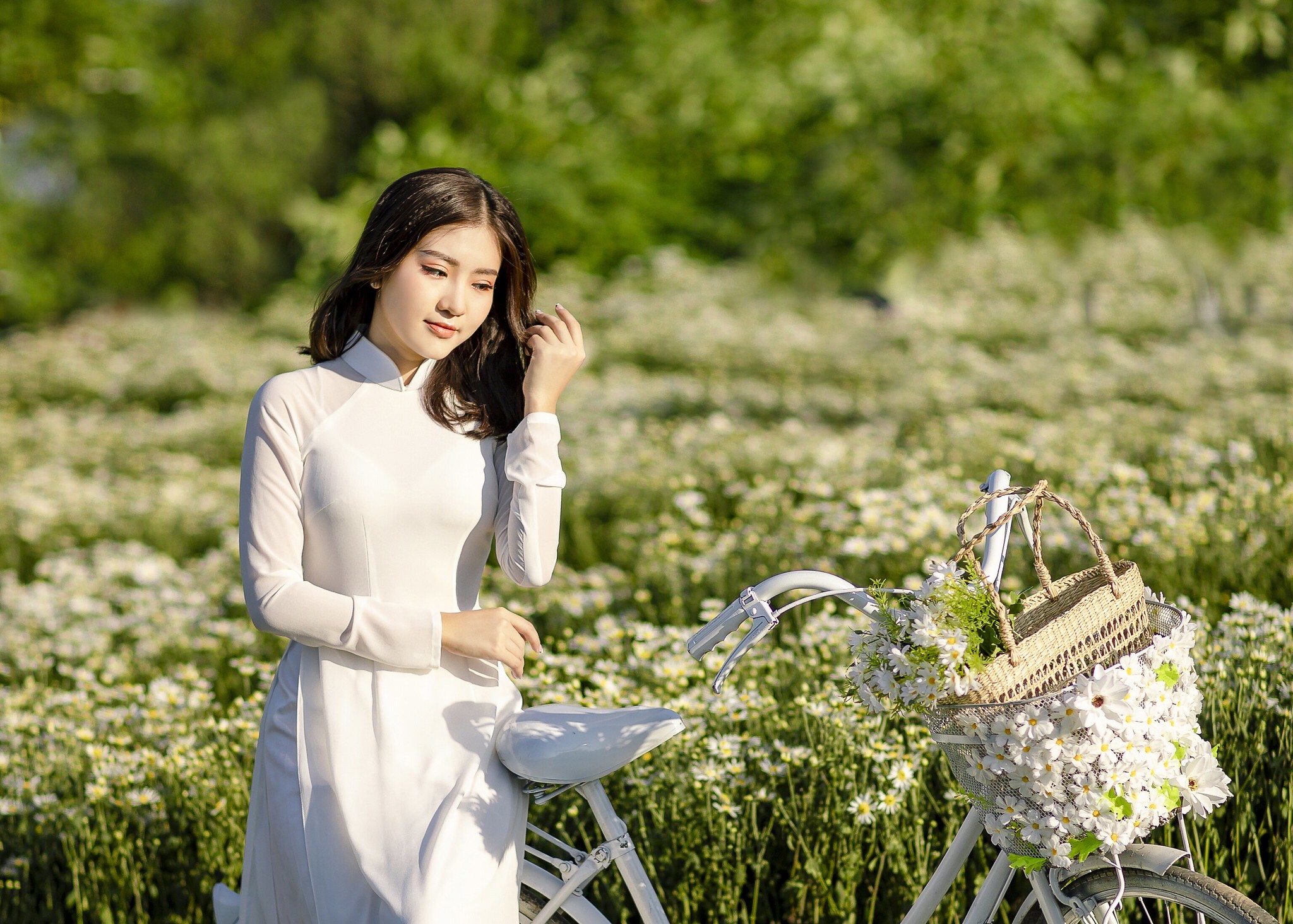 Áo dài trắng xe đạp cổ điển [YVZ83Z]