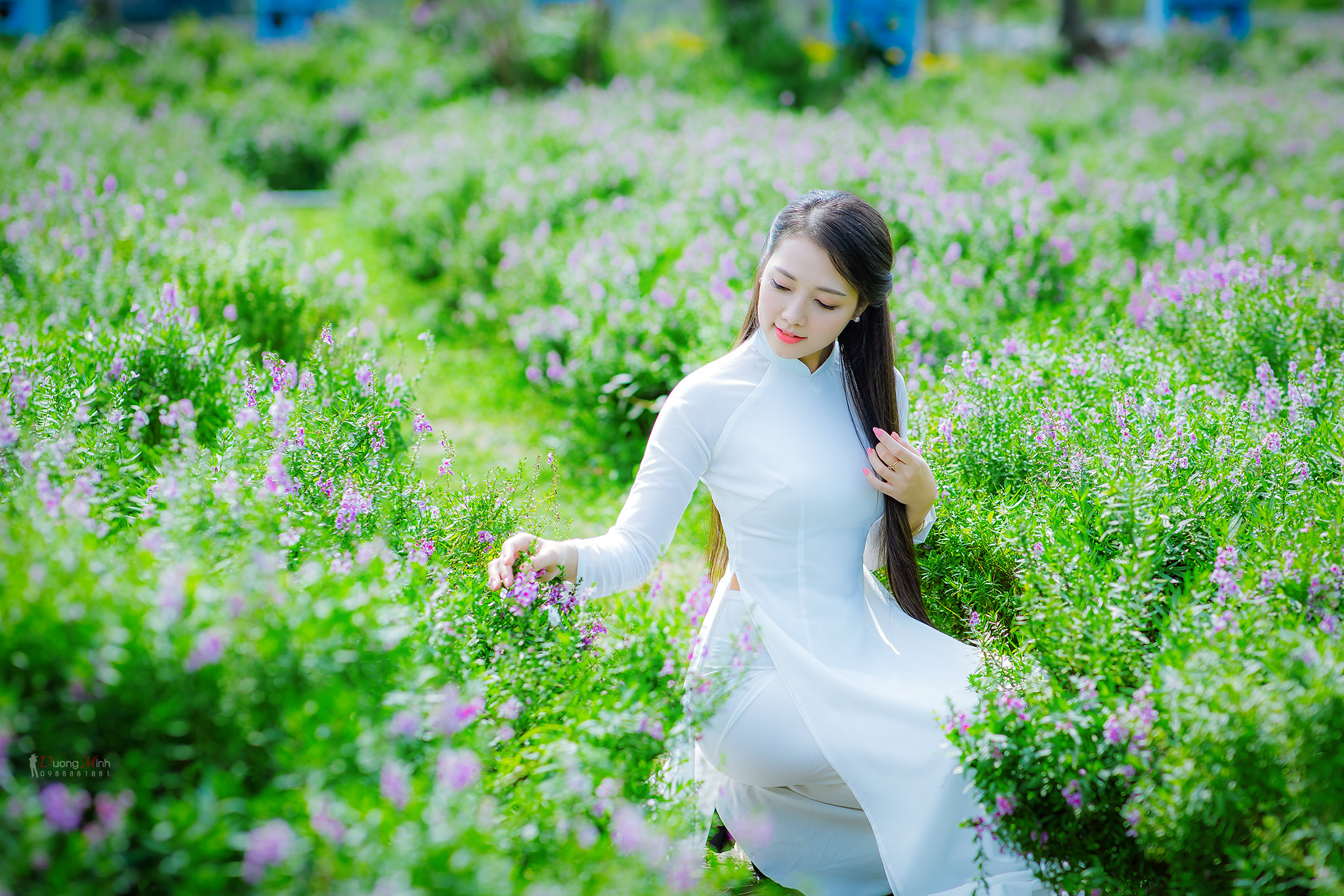 Bộ ảnh áo dài trắng yêu kiều áo dài trắng [AREQ6F]