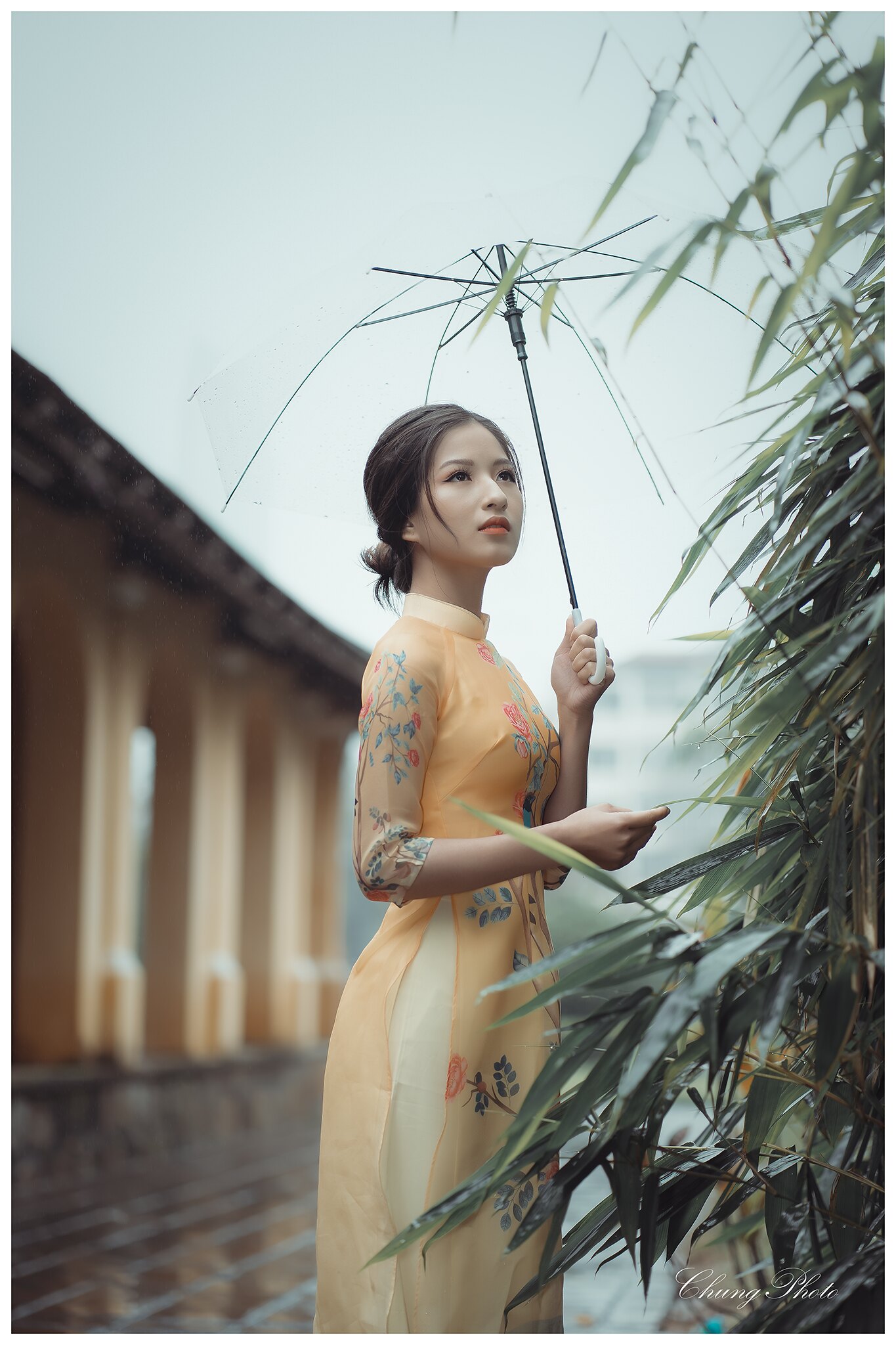 Áo dài vàng tuyển chọn áo dài vàng [ZVZSIY]