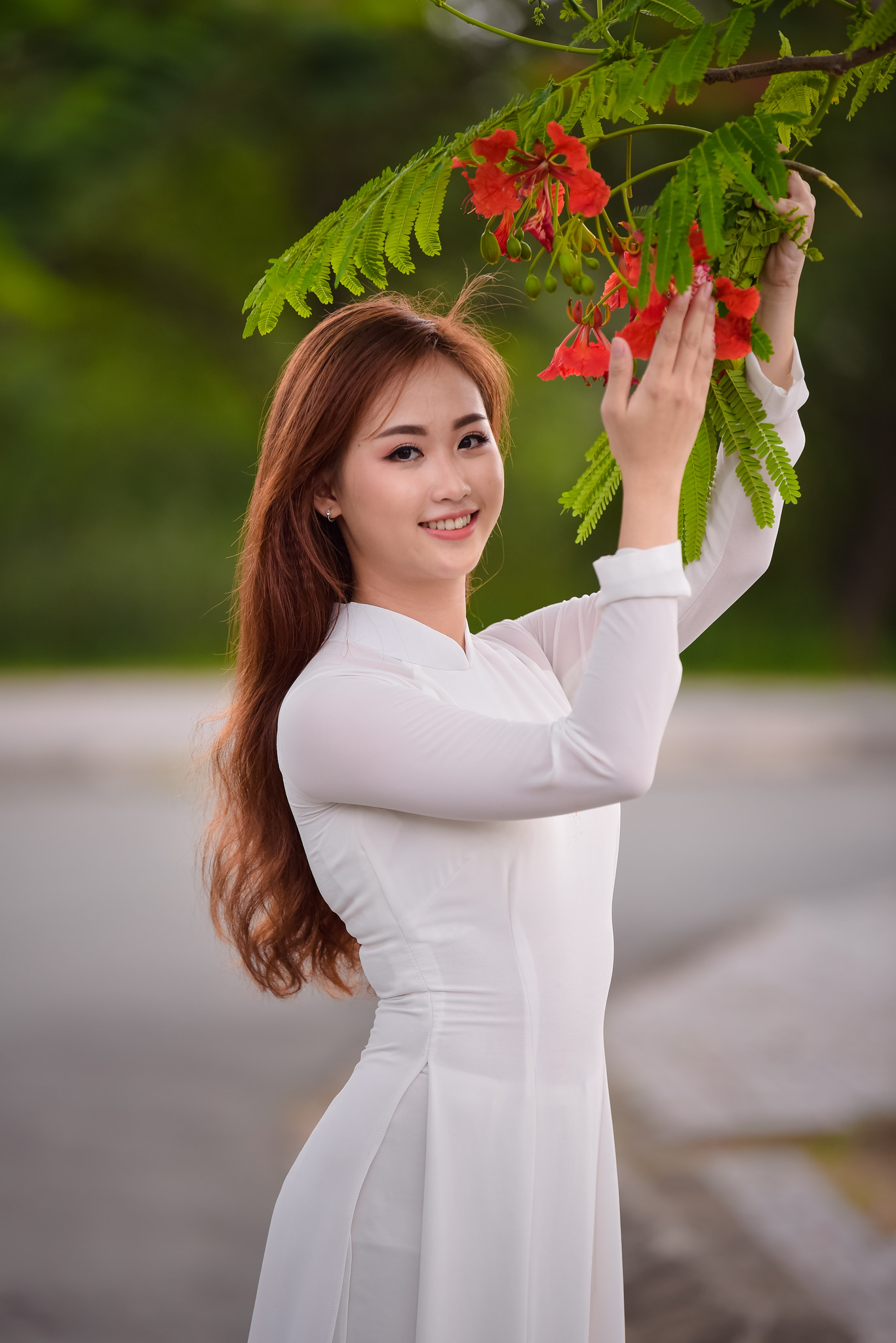 Thanh lịch áo dài trắng hoa phượng [UAJNF2]