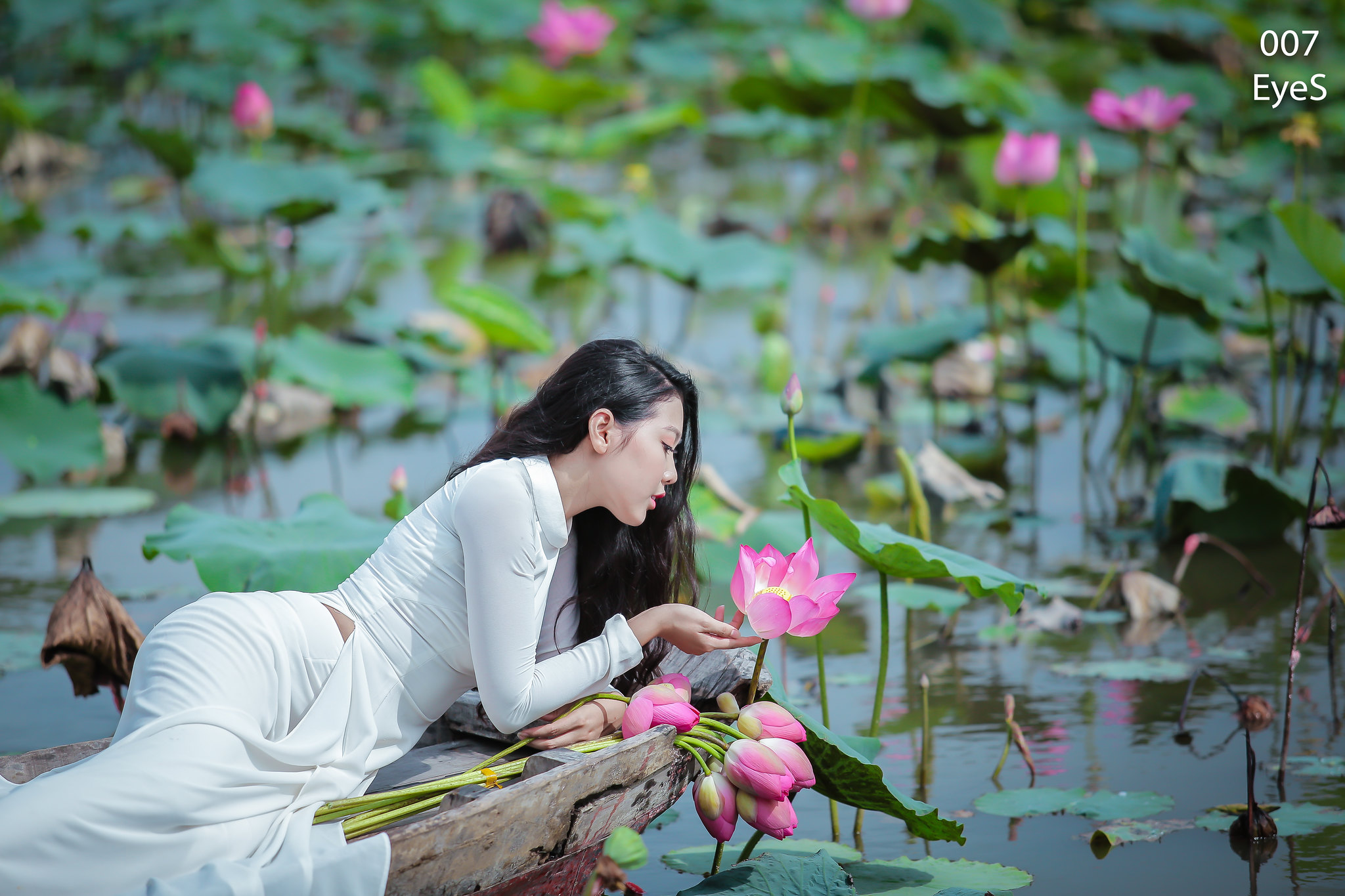 Áo dài trắng ảnh nền hoa sen hút hồn [VUU17T]
