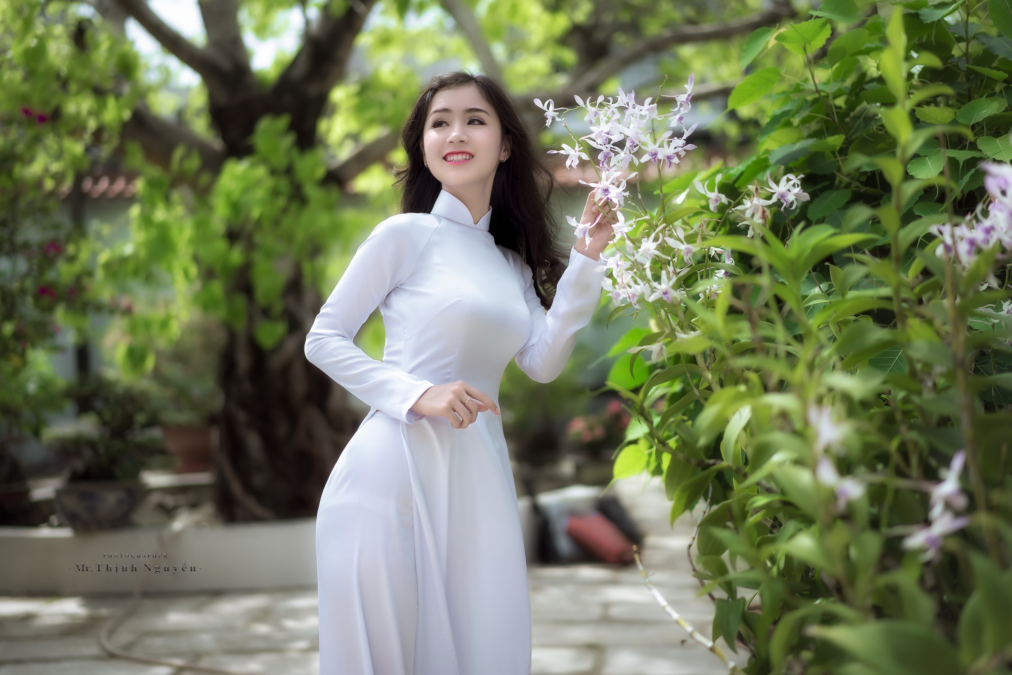 Áo dài trắng áo dài trắng hút hồn [TVB5C2]
