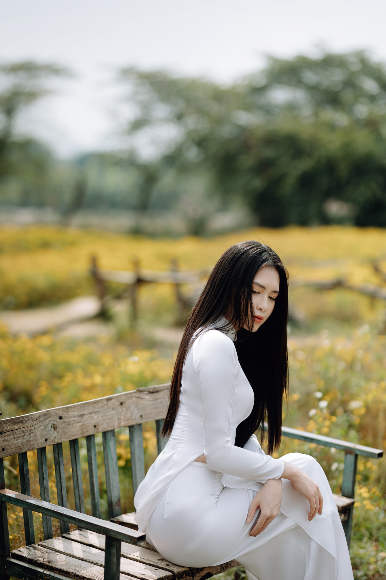 Thanh xuân hình ảnh hoa [PGEHJO]