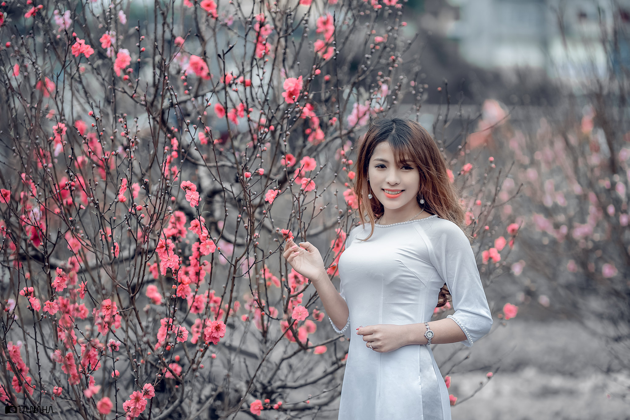 Áo dài trắng hút hồn hoa đào [09FC7I]