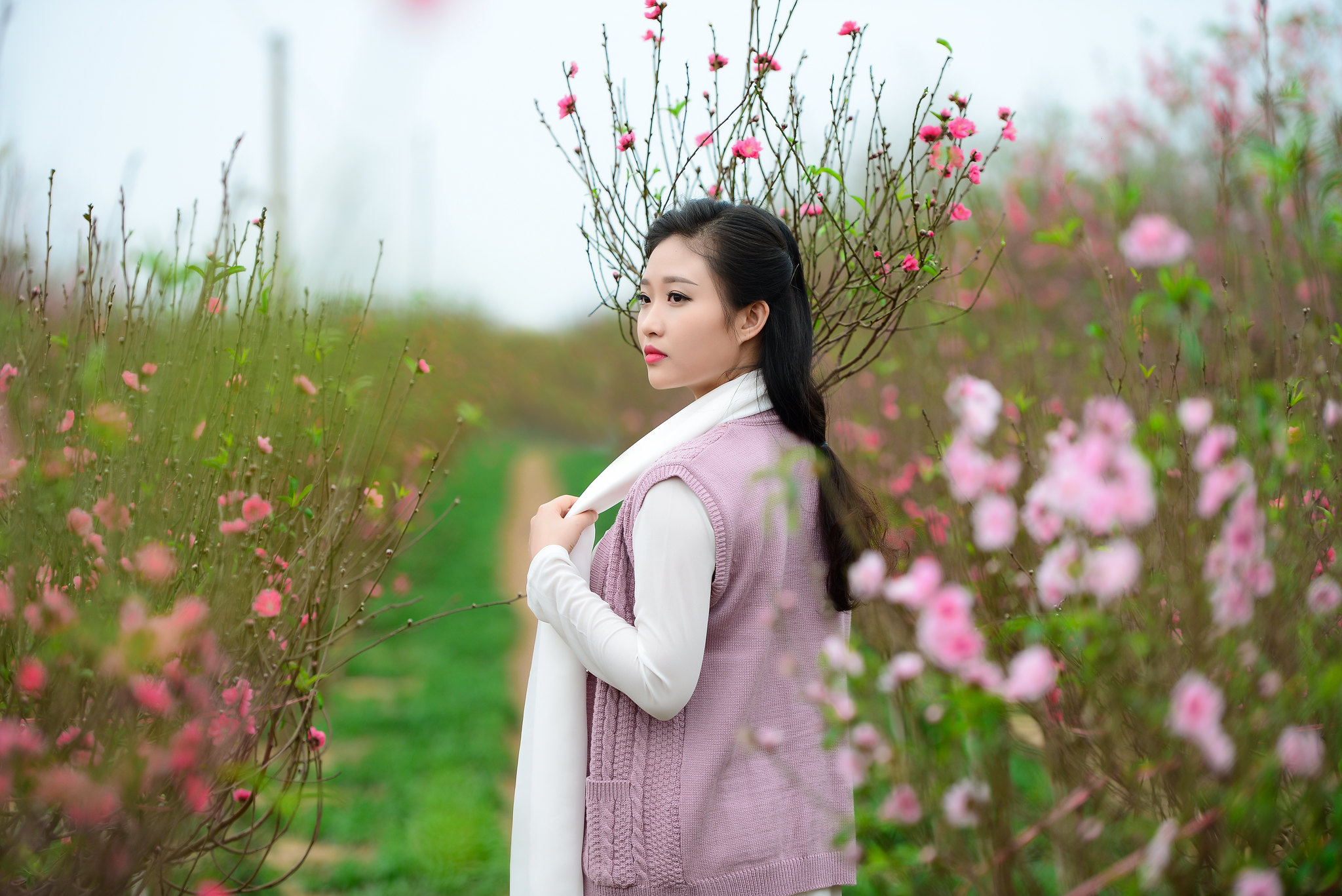 Thanh thoát áo dài trắng hoa đào [GG3CT8]