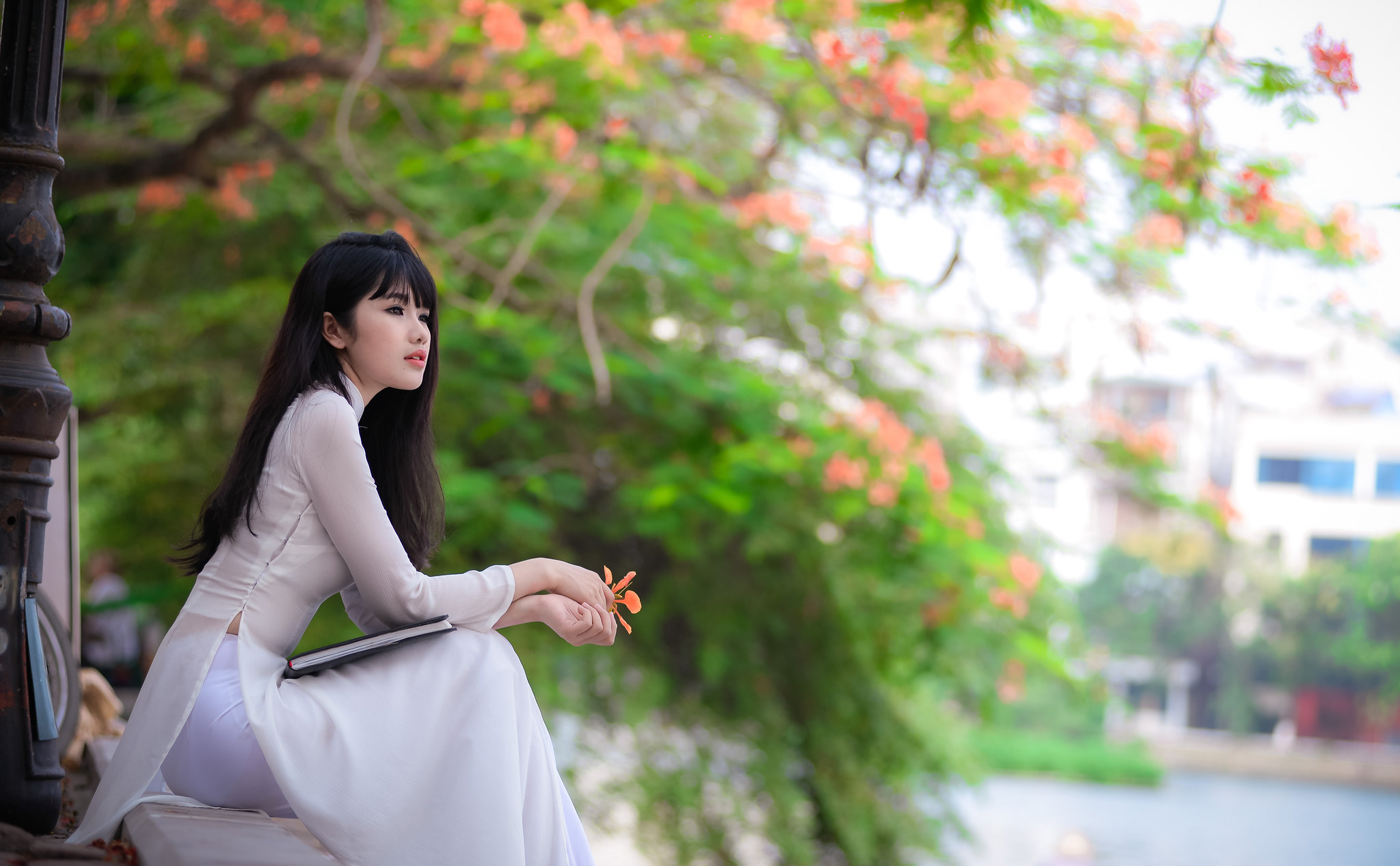 Áo dài trắng thanh thoát hoa phượng [CZCWSX]