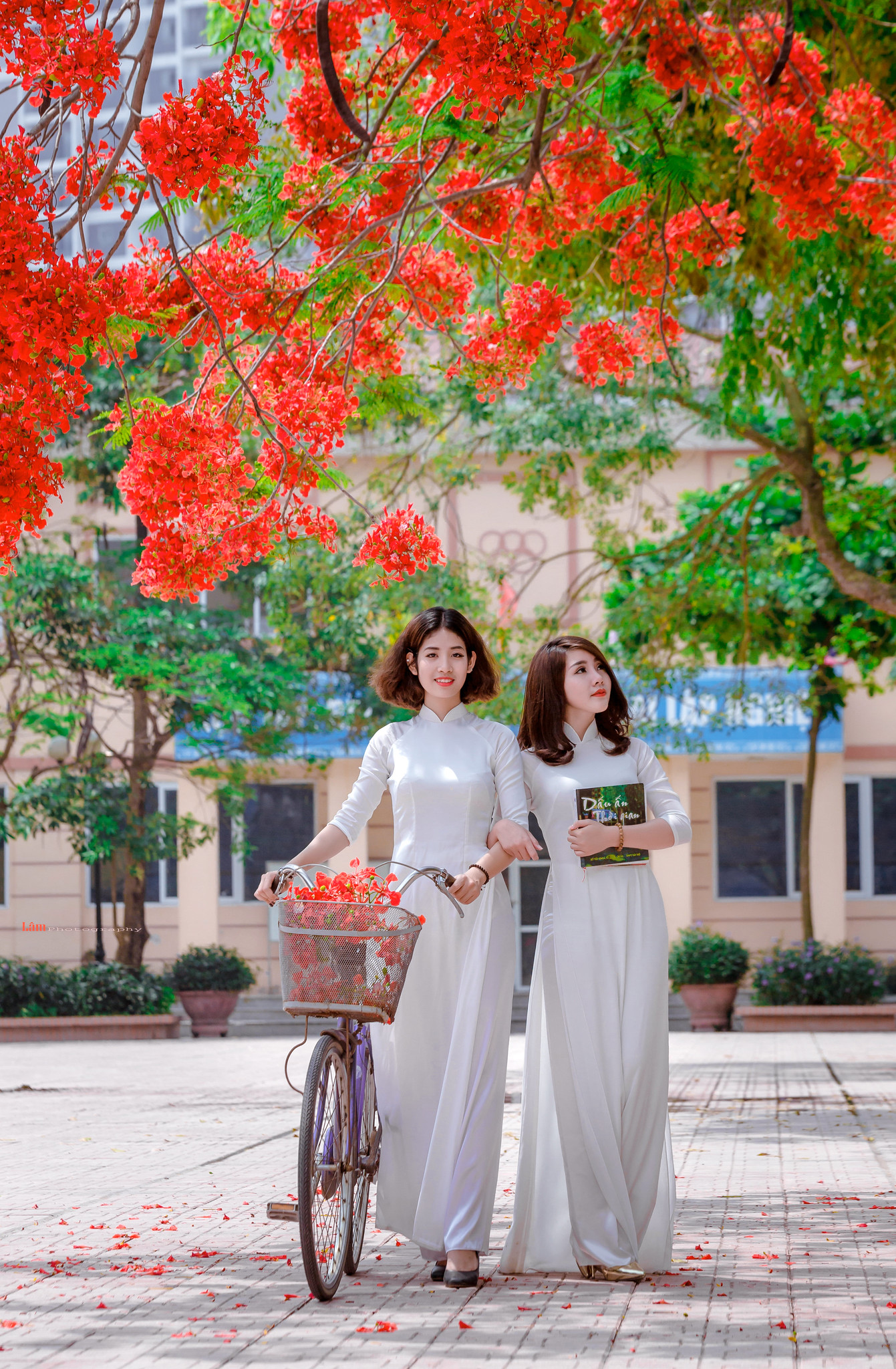 Áo dài trắng hoa phượng vẻ đẹp Việt Nam [CBUSEH]
