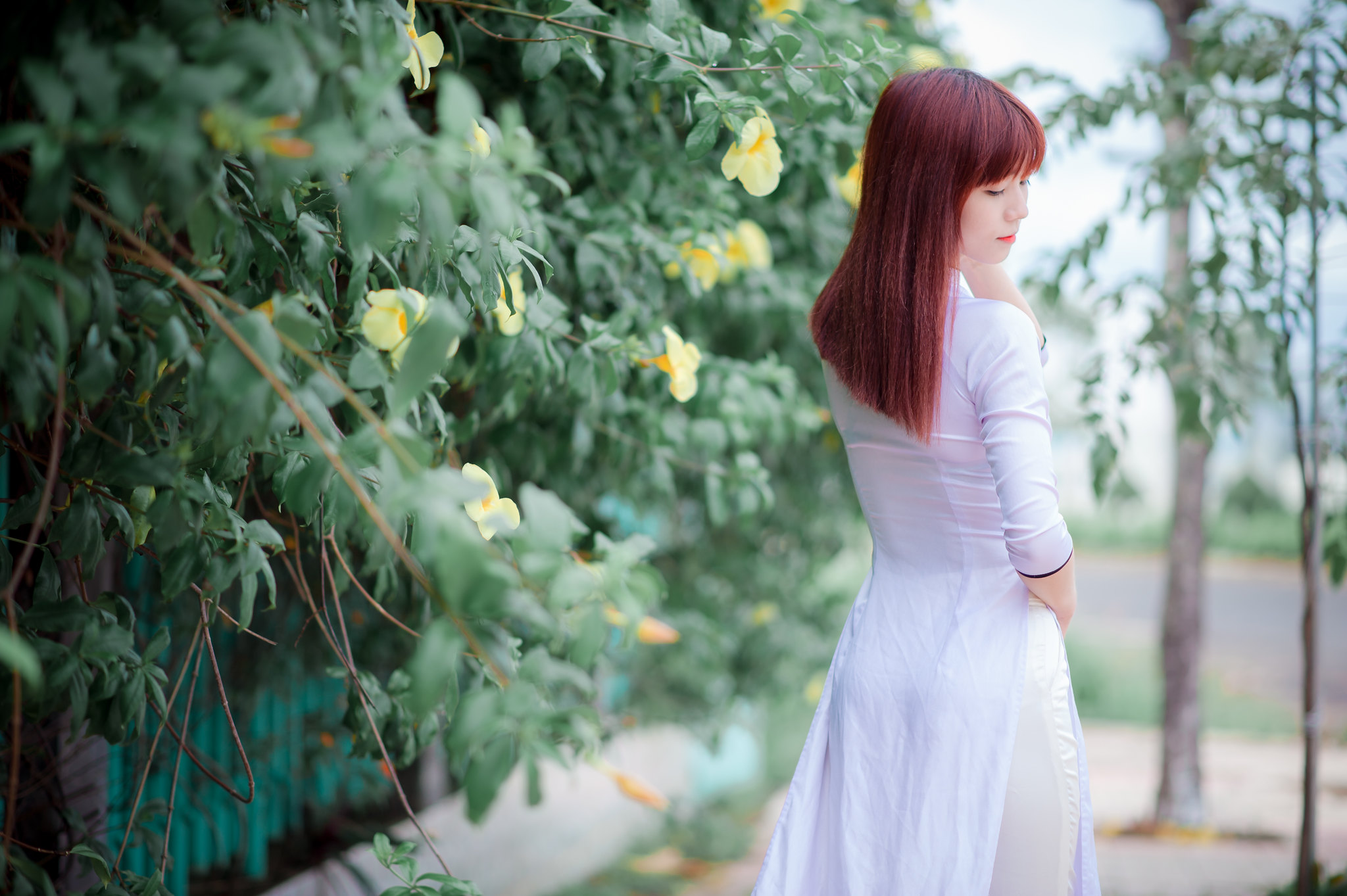 Truyền thống áo dài trắng hoa [36H05D]