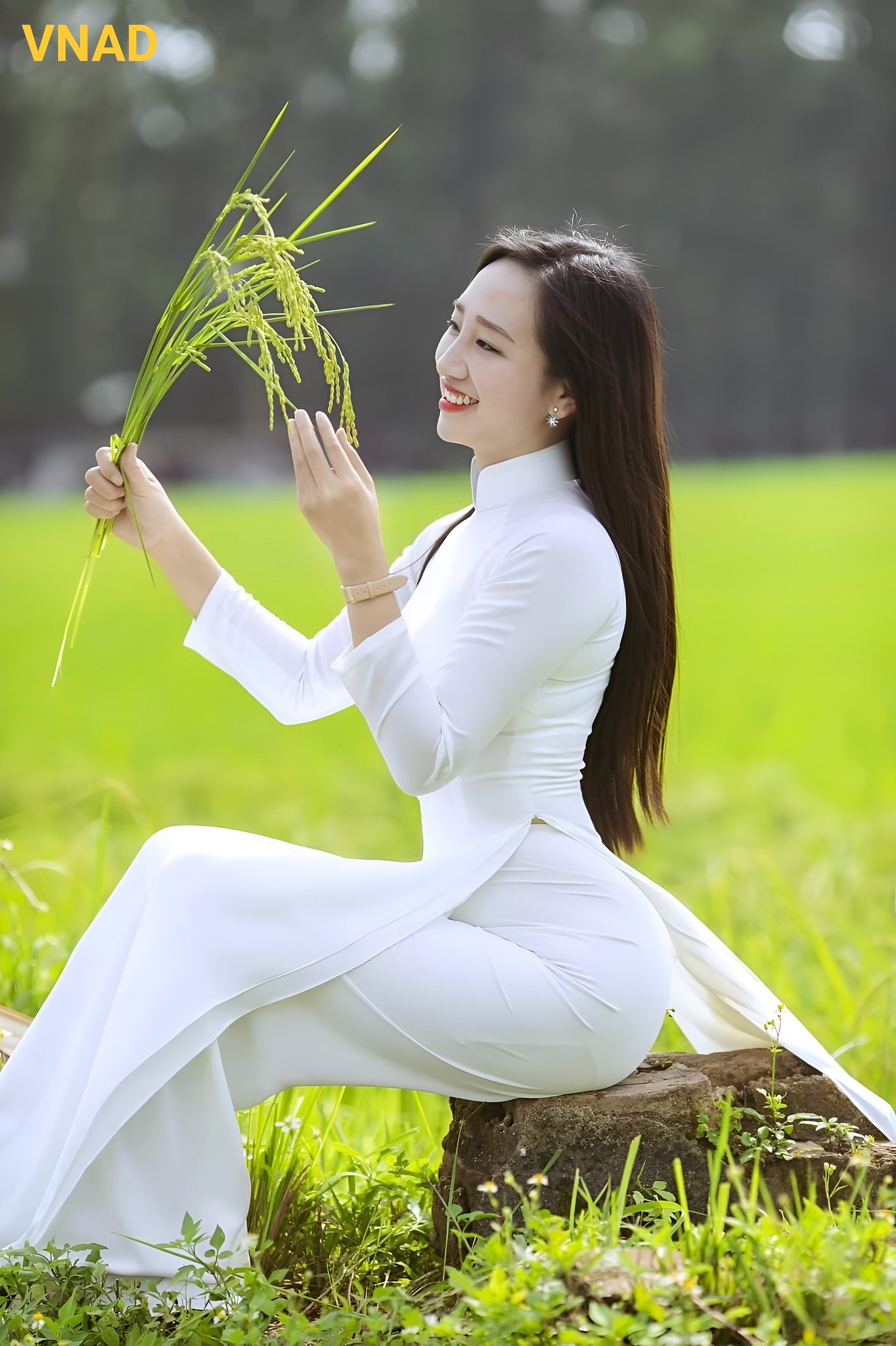 Áo dài trắng ấn tượng áo dài trắng [AFQS22]