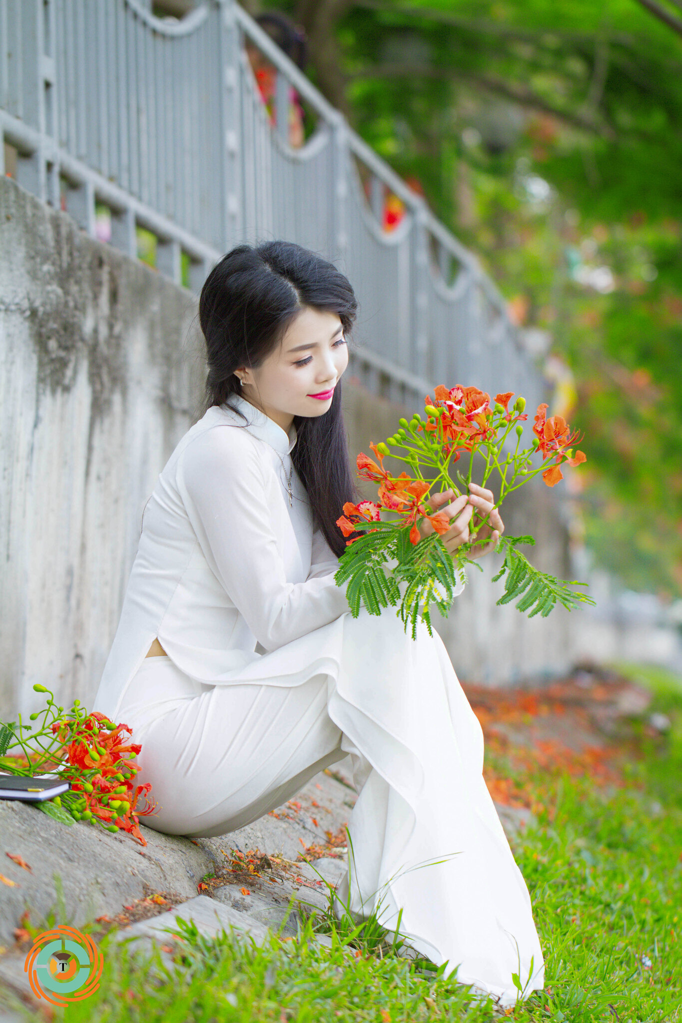 Thanh nhã áo dài trắng hoa phượng [1WIWSE]