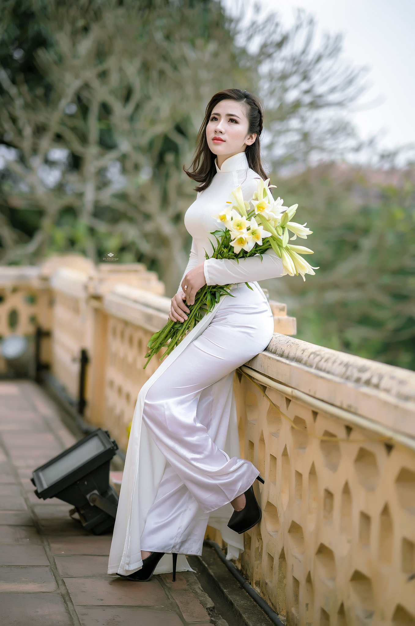 Bộ ảnh áo dài trắng tinh tế hoa [LNXFAO]