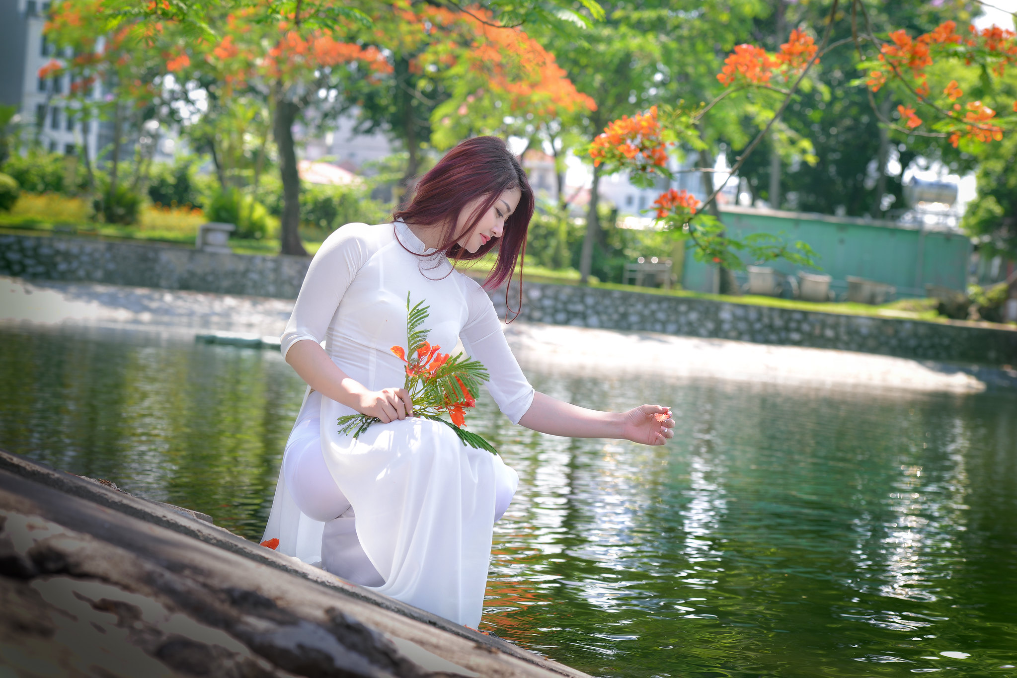 Áo dài trắng yêu kiều hoa phượng [8SVIYE]