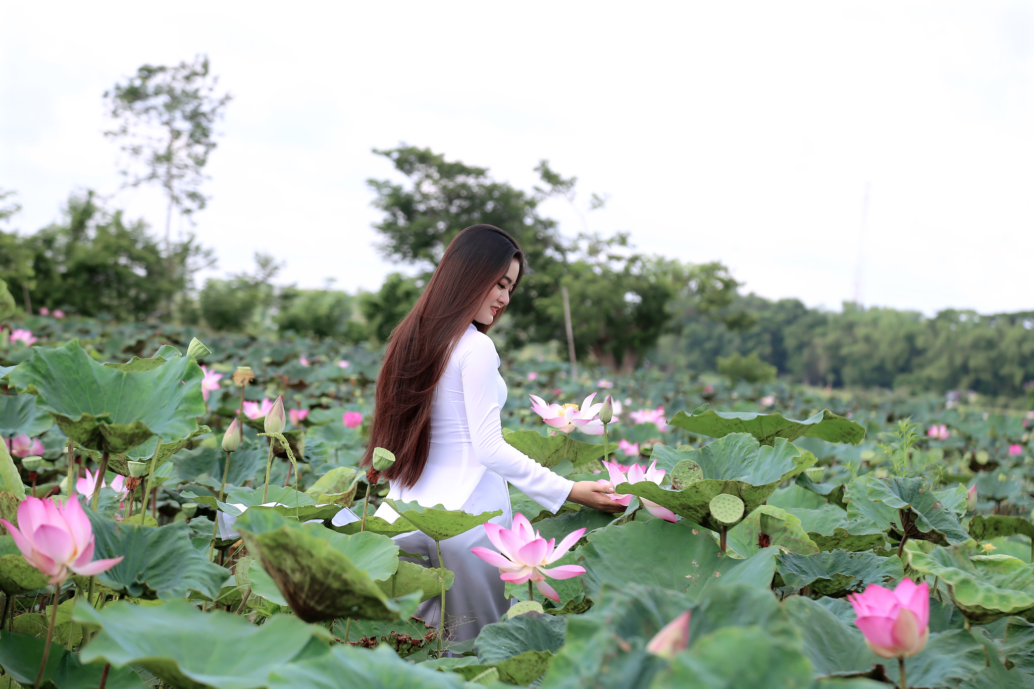 Ảnh nền ảnh đẹp kiêu sa [39KXRK]