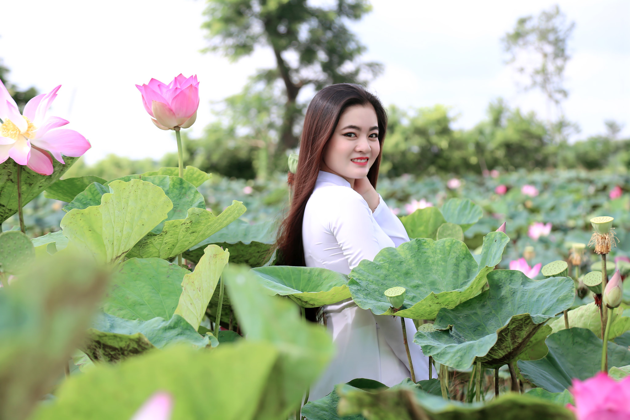 Loạt ảnh album duyên dáng [LTR7F3]