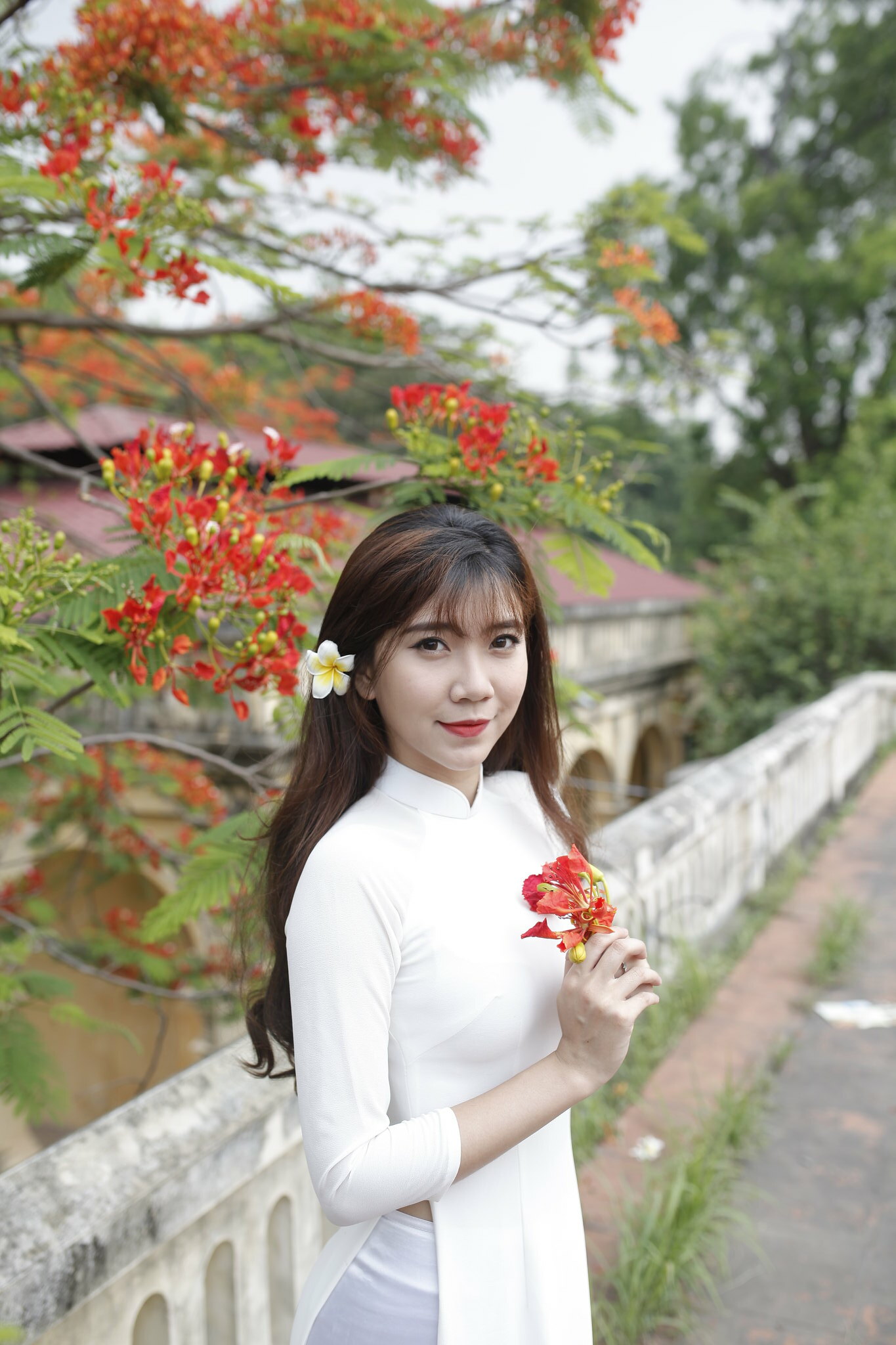 Thuần Việt áo dài trắng hoa phượng [B6US4W]