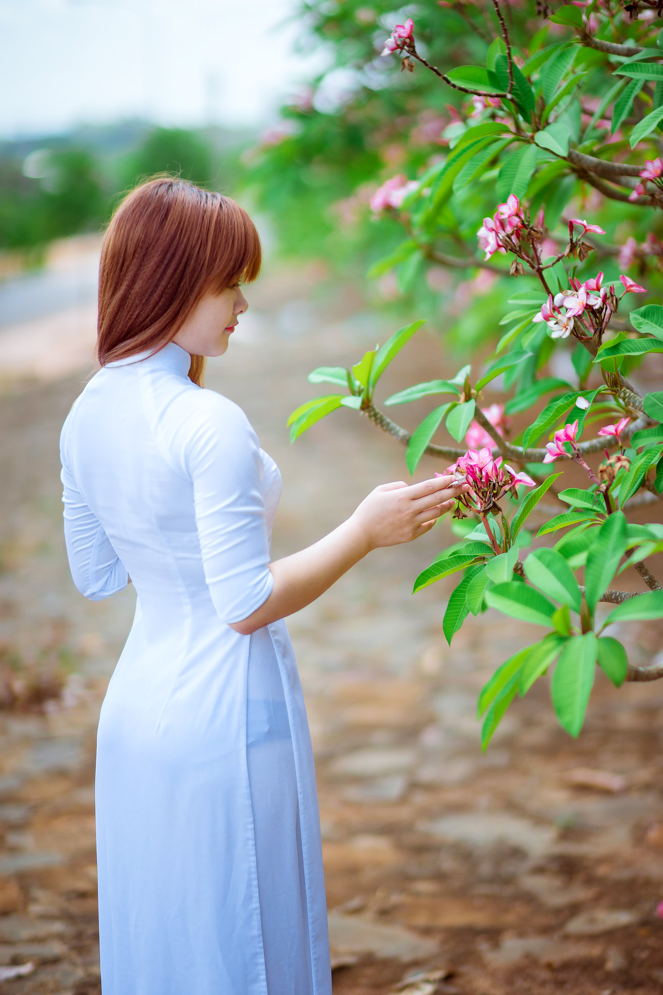 Đậm chất Việt áo dài trắng nữ sinh [4CVUO4]