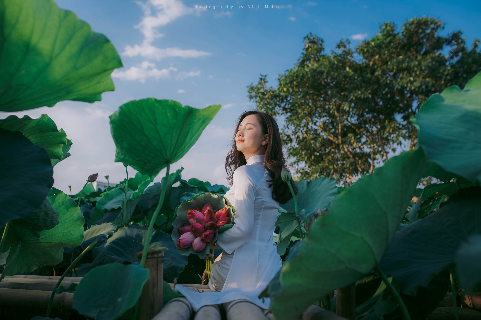 Áo dài trắng ảnh hoa sen dịu dàng [EMSKLX]
