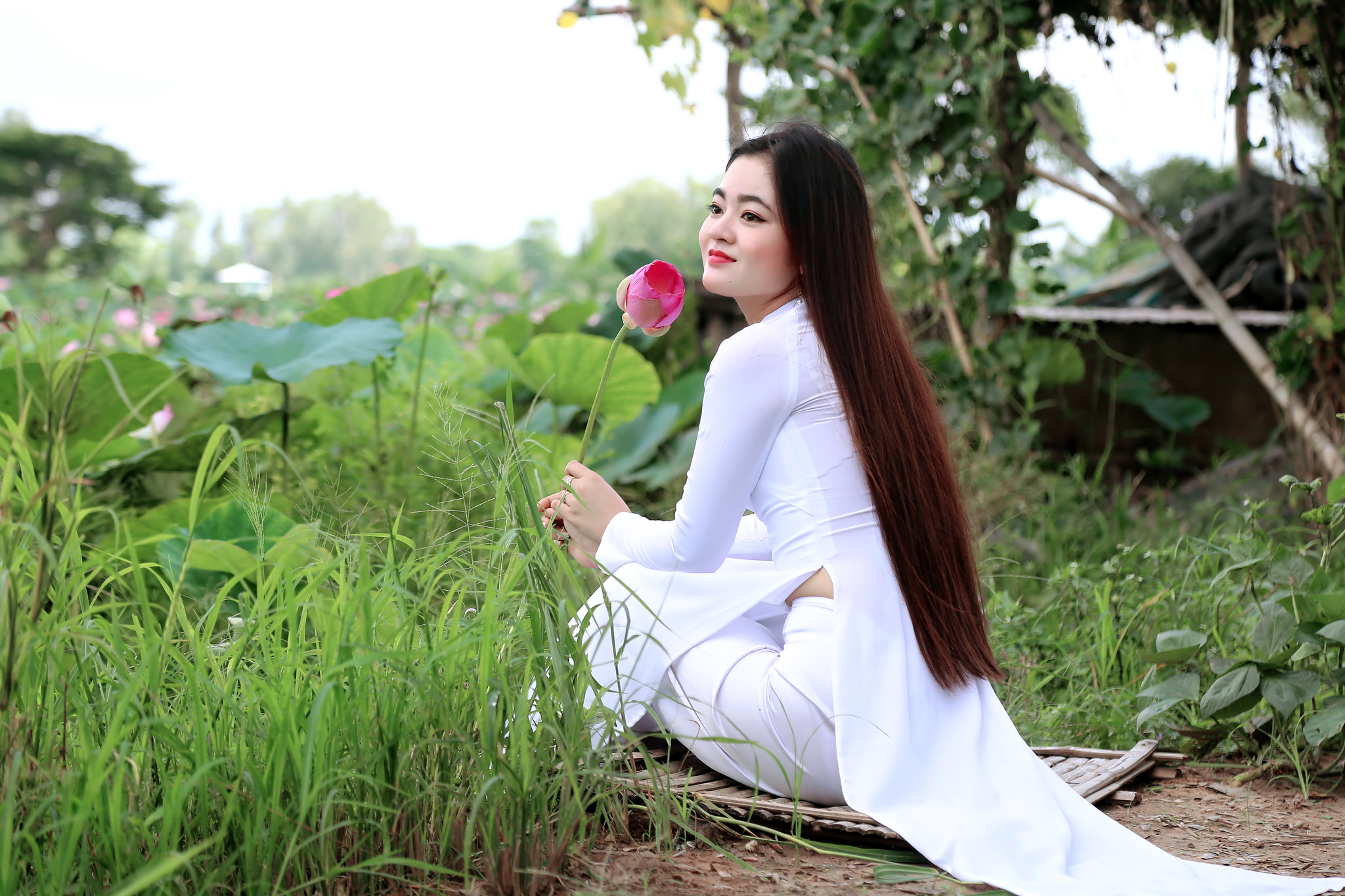 Ảnh nền e ấp [31CS3Z]