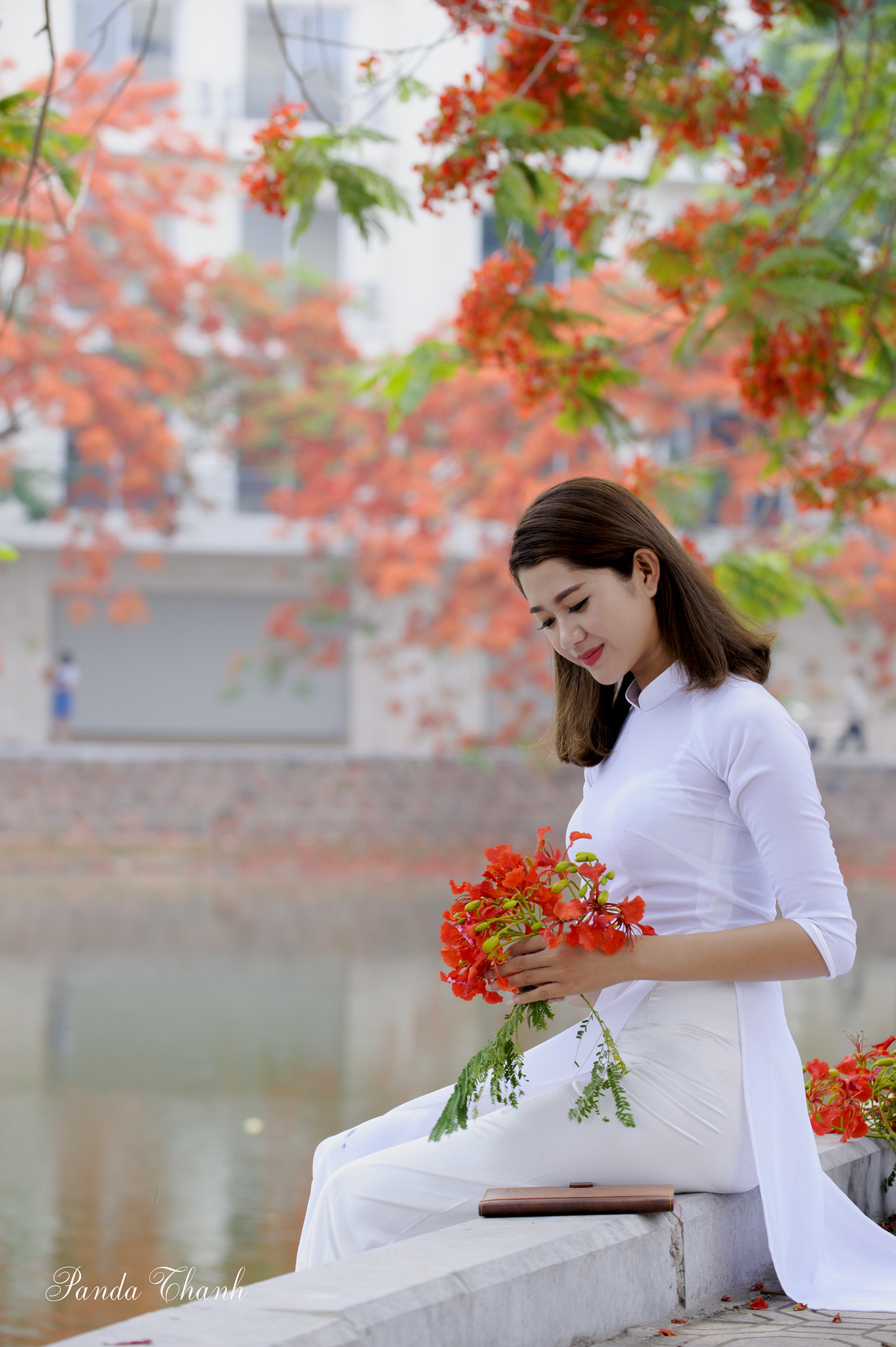 Duyên dáng áo dài trắng hoa phượng [GXO5ZQ]