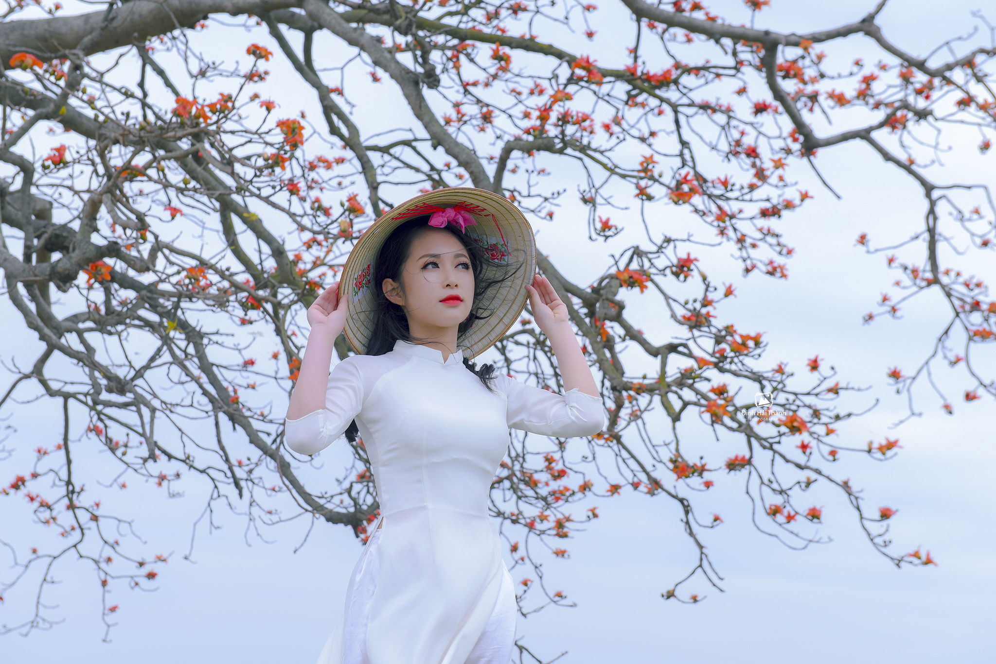 Áo dài trắng tinh khôi hoa phượng [FLYYVV]