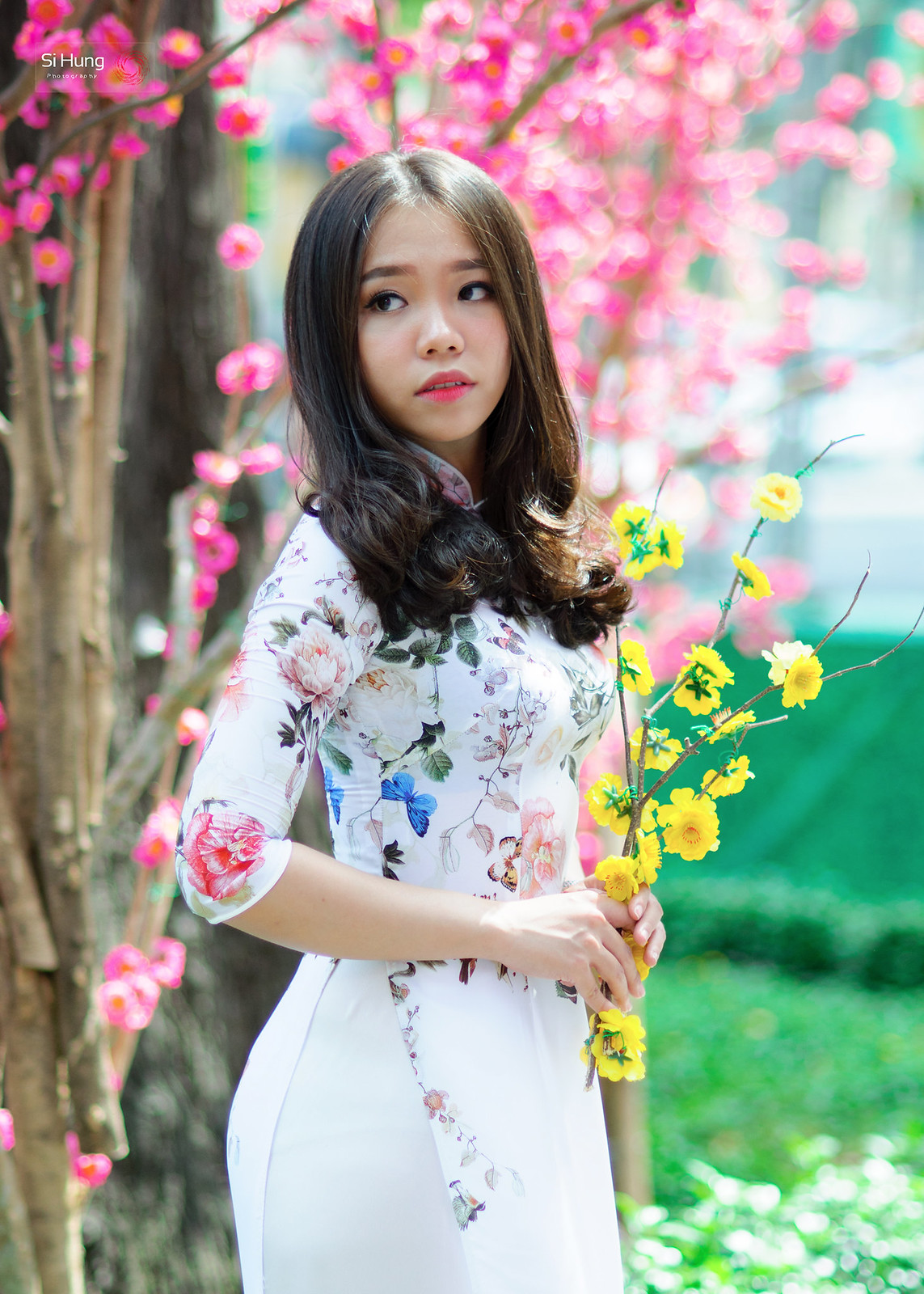 Album thuần Việt hoa đào [BO89N7]