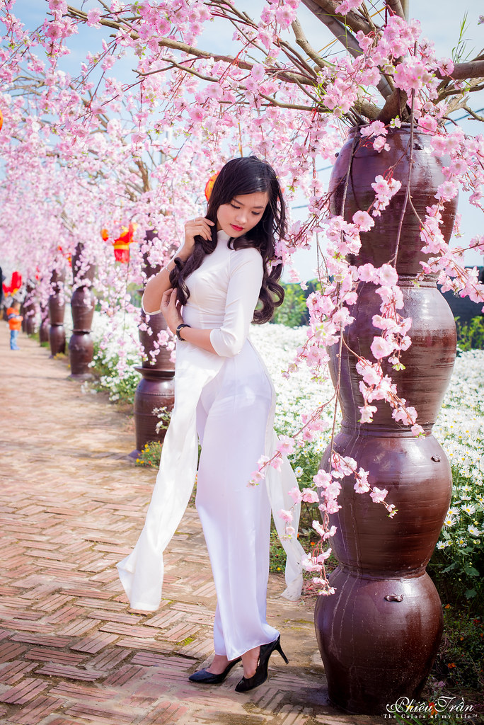 Áo dài trắng trang nhã hoa đào [HUBAQL]
