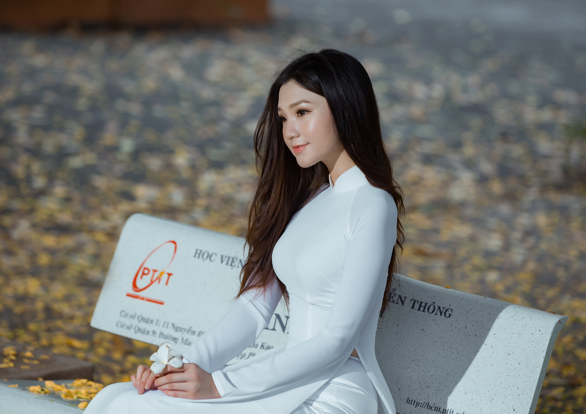 Áo dài trắng thiếu nữ ghế đá đằm thắm [7QY9KL]