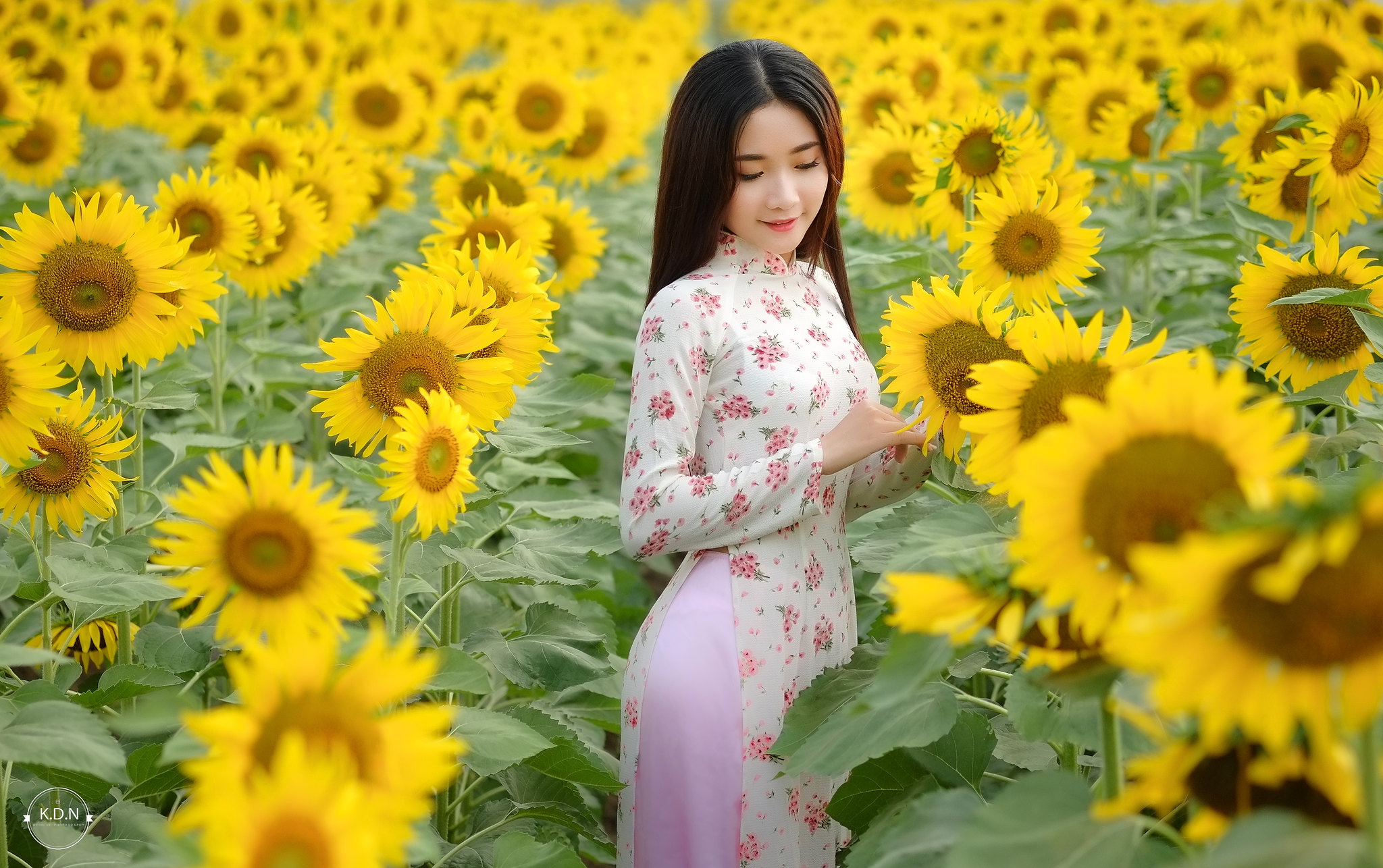Vẻ đẹp Việt Nam áo dài hồng [LYIW64]