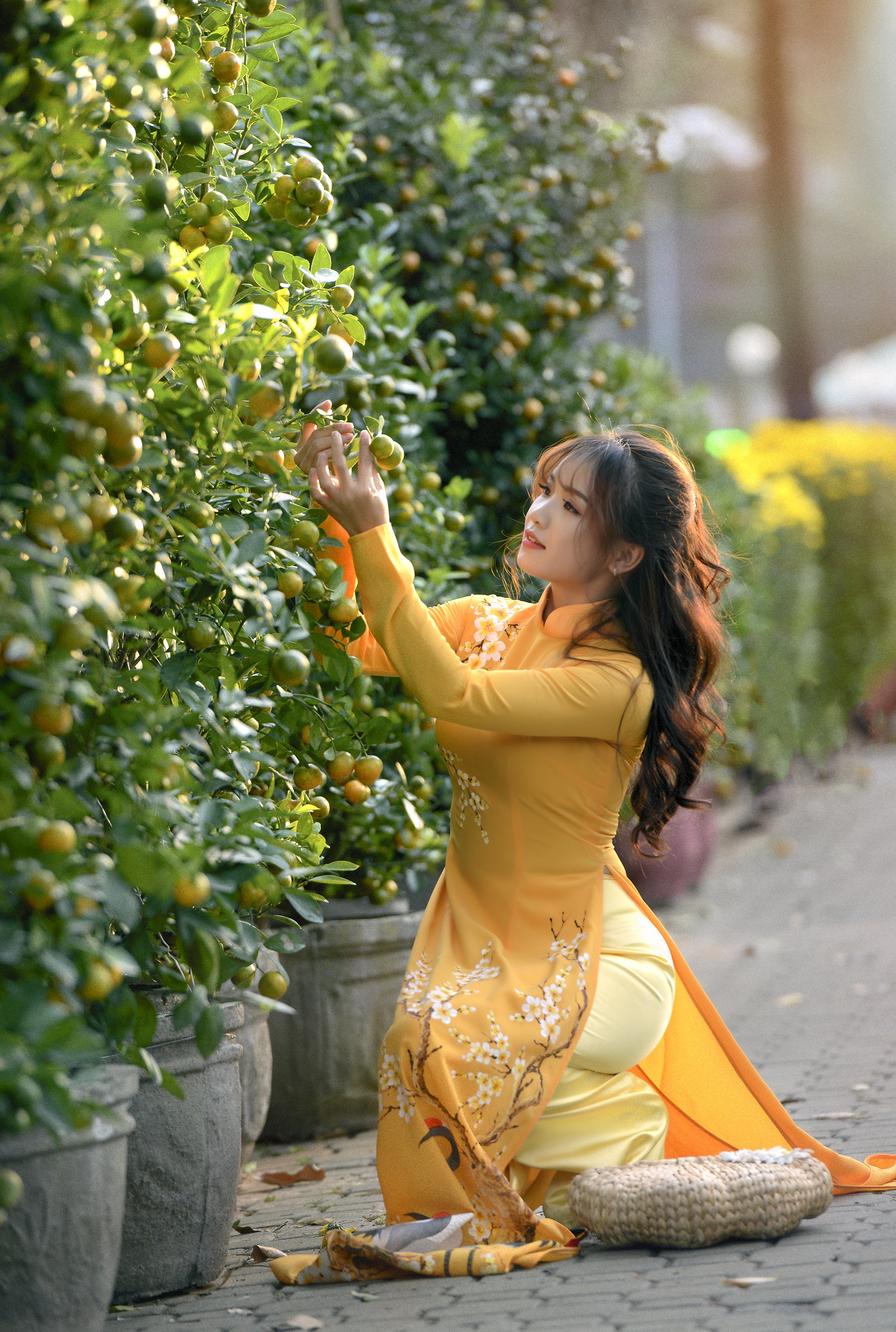 Rạng rỡ áo dài trắng [BTLXFQ]