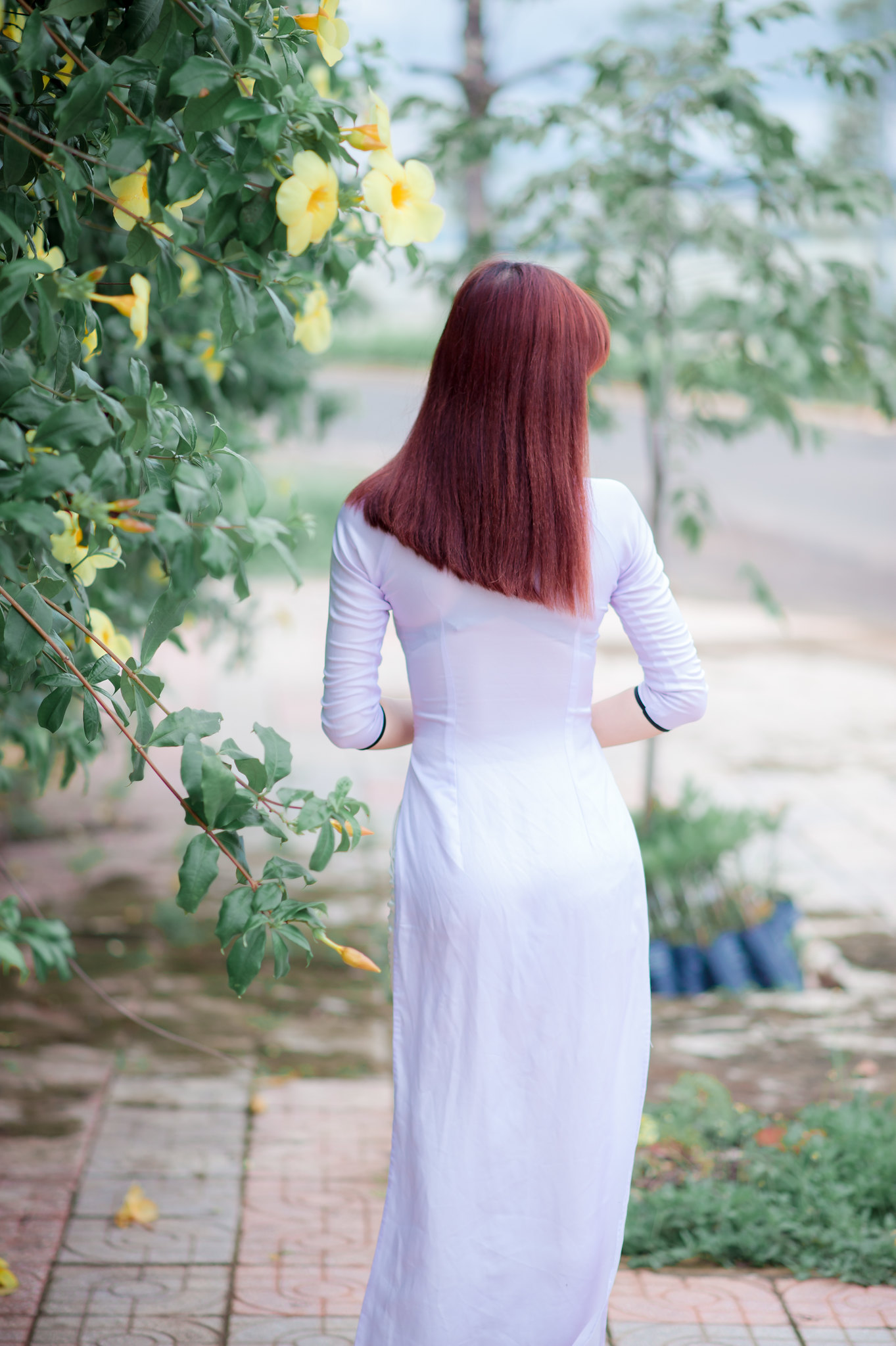 Thuần Việt áo dài trắng hoa [X2QUB4]
