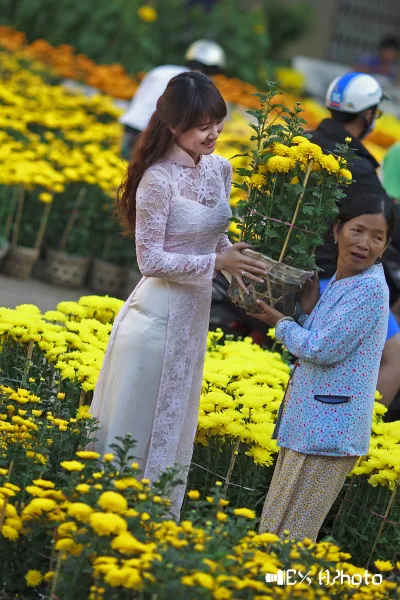 Áo dài trắng hút hồn đón tết [7PWOHY]