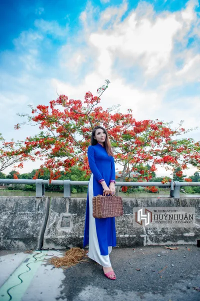Áo dài trắng album hoa phượng truyền thống [WJW4FP]