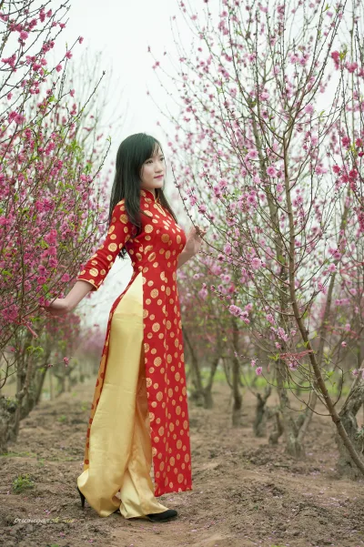 Áo dài đỏ sang trọng [7QTU2Y]