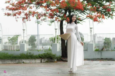 Áo dài trắng mong manh hoa phượng [AG7LNT]