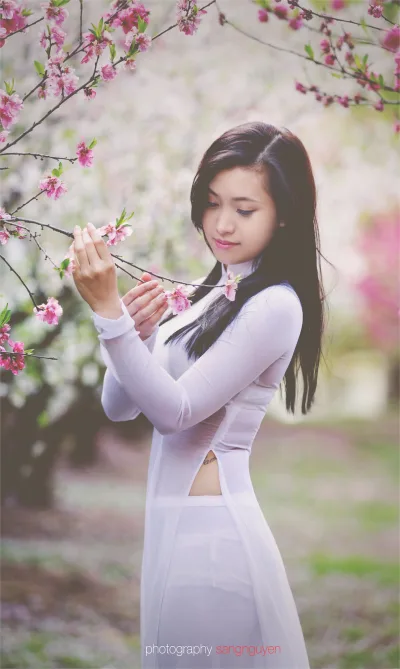 Hài hòa áo dài trắng hoa đào [QZLAS7]