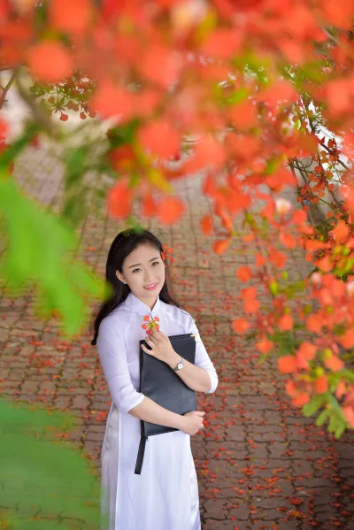 Áo dài trắng hiện đại hoa phượng [F1WMNO]