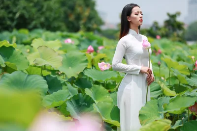 Áo dài trắng truyền thống hoa sen [TKISKP]