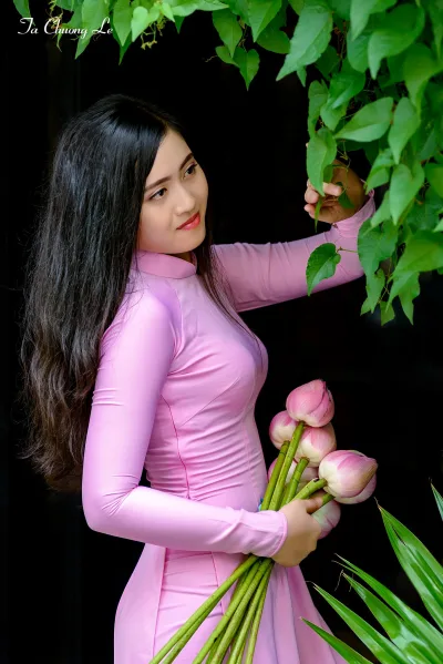 Thuần Việt áo dài hồng hoa sen [XZXYJZ]